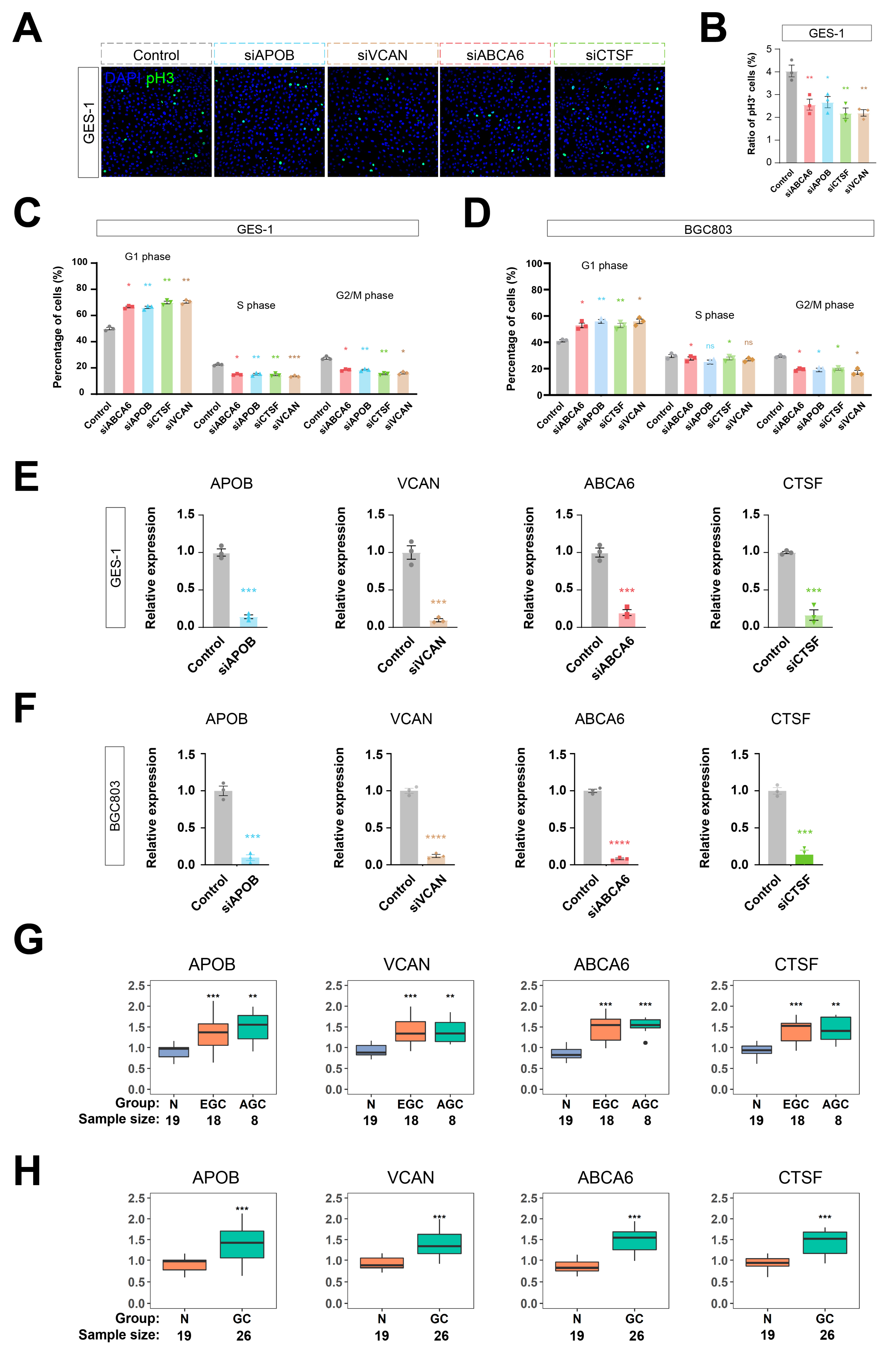 Cancers 15 01610 g006 Cancers 15 01610 g006