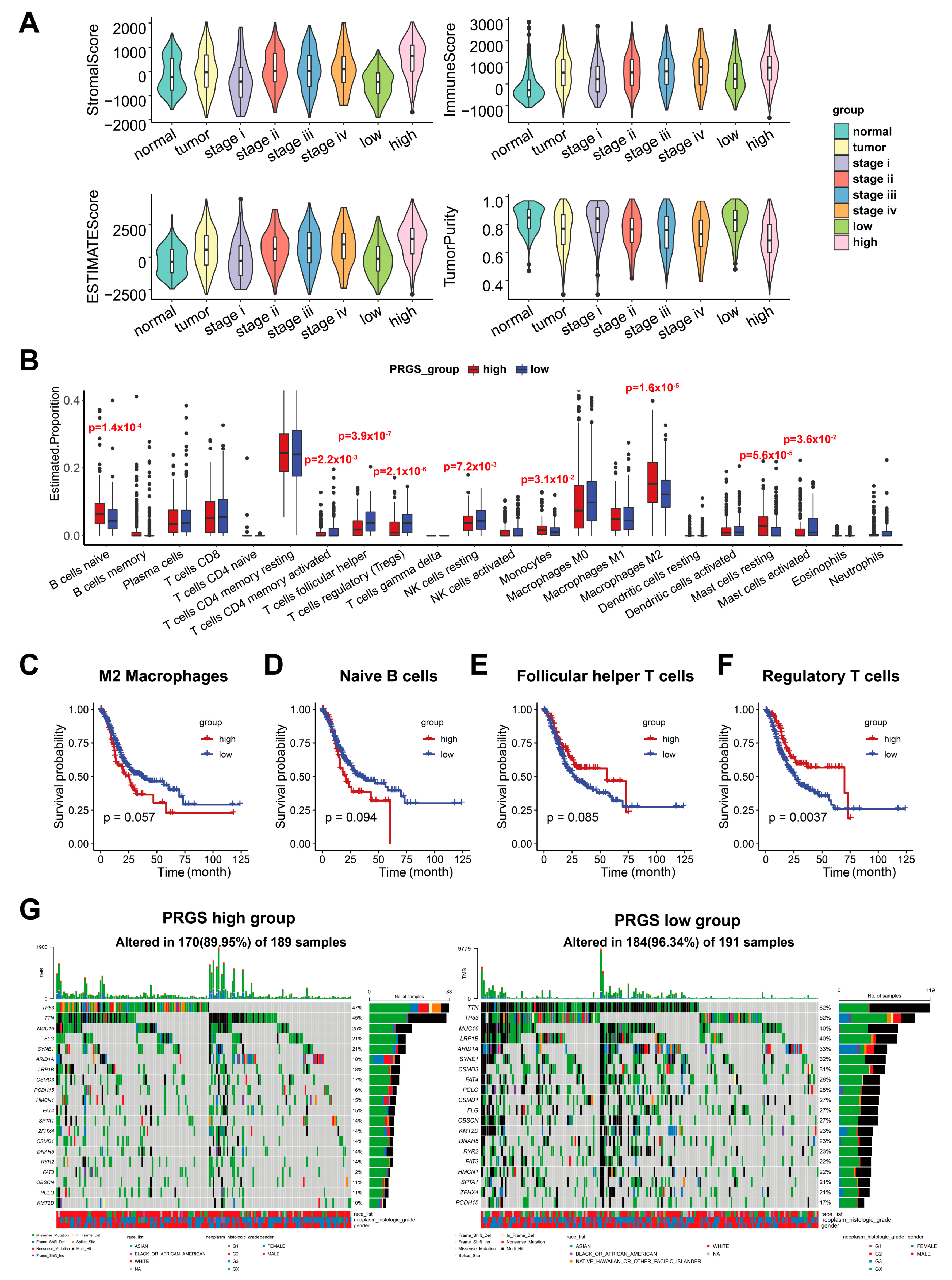 Cancers 15 01610 g007 Cancers 15 01610 g007