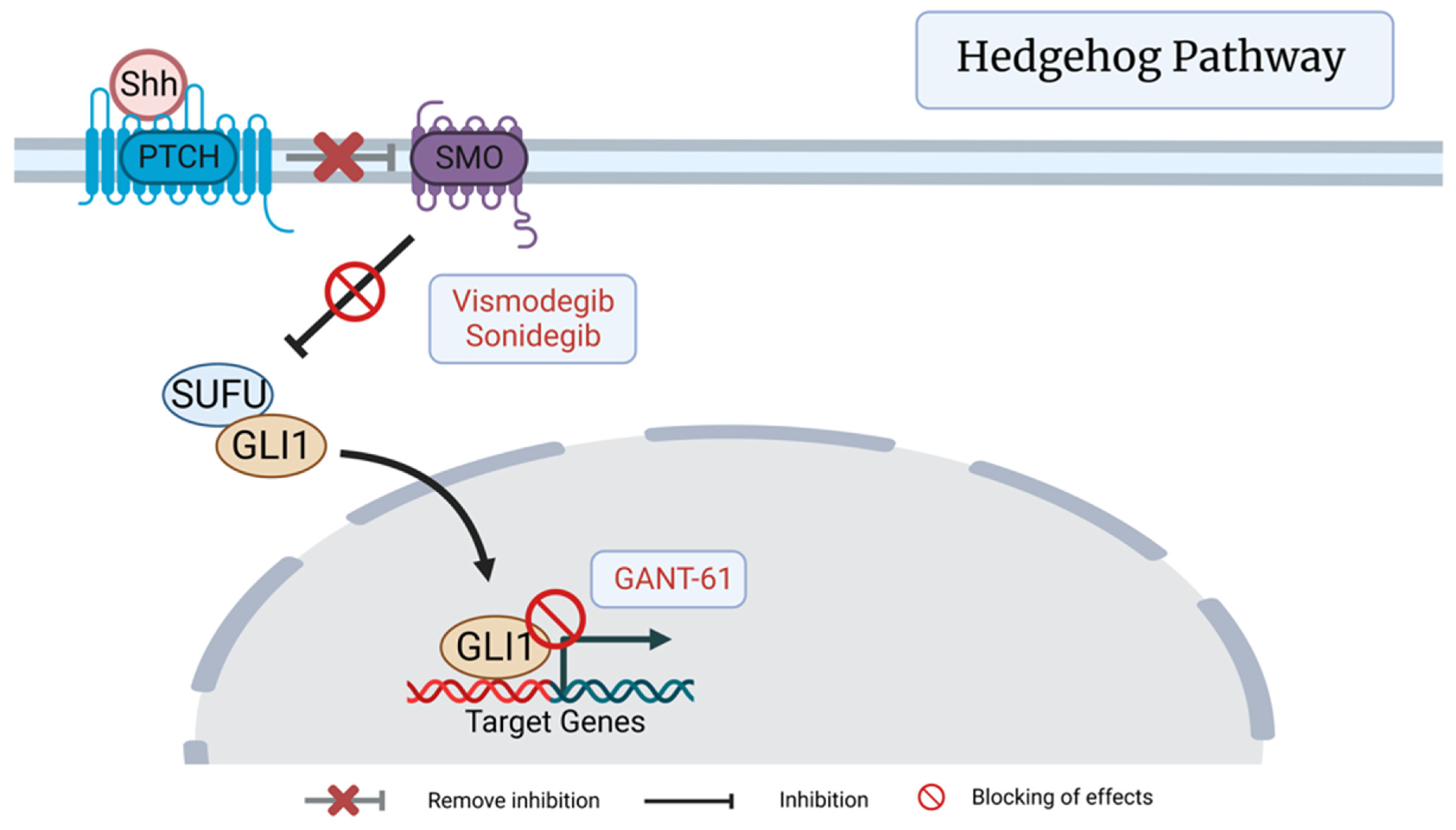 Cancers 15 01621 g002 Cancers 15 01621 g002