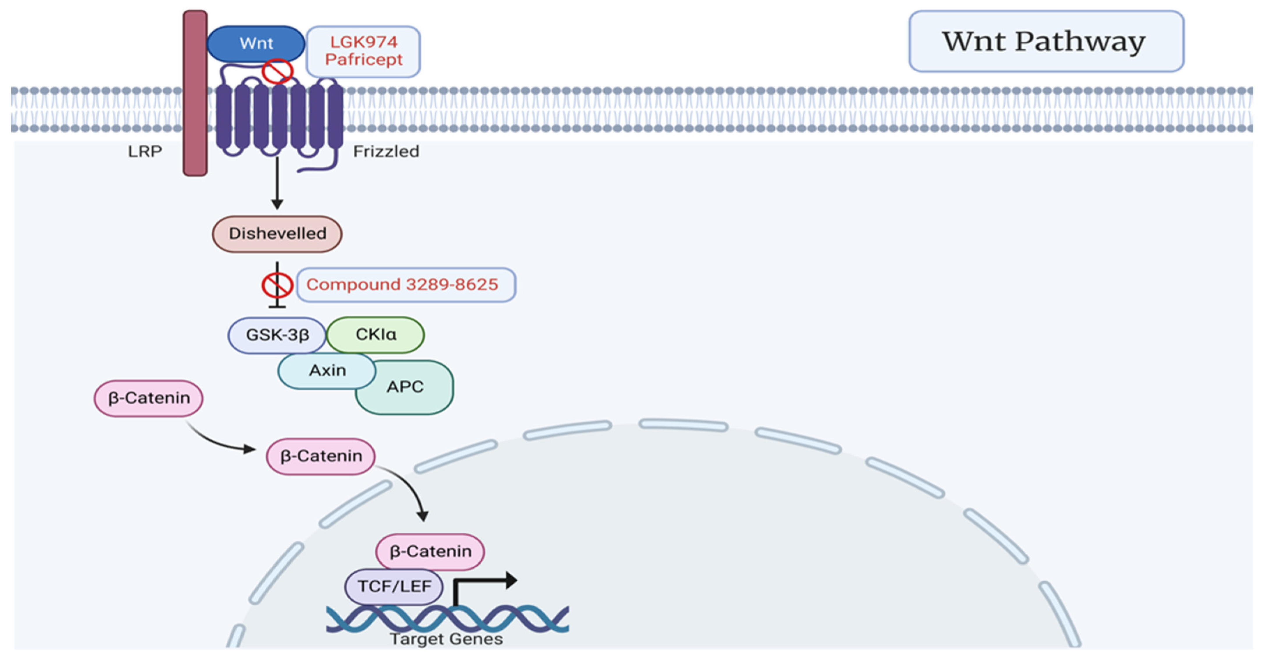 Cancers 15 01621 g003 Cancers 15 01621 g003