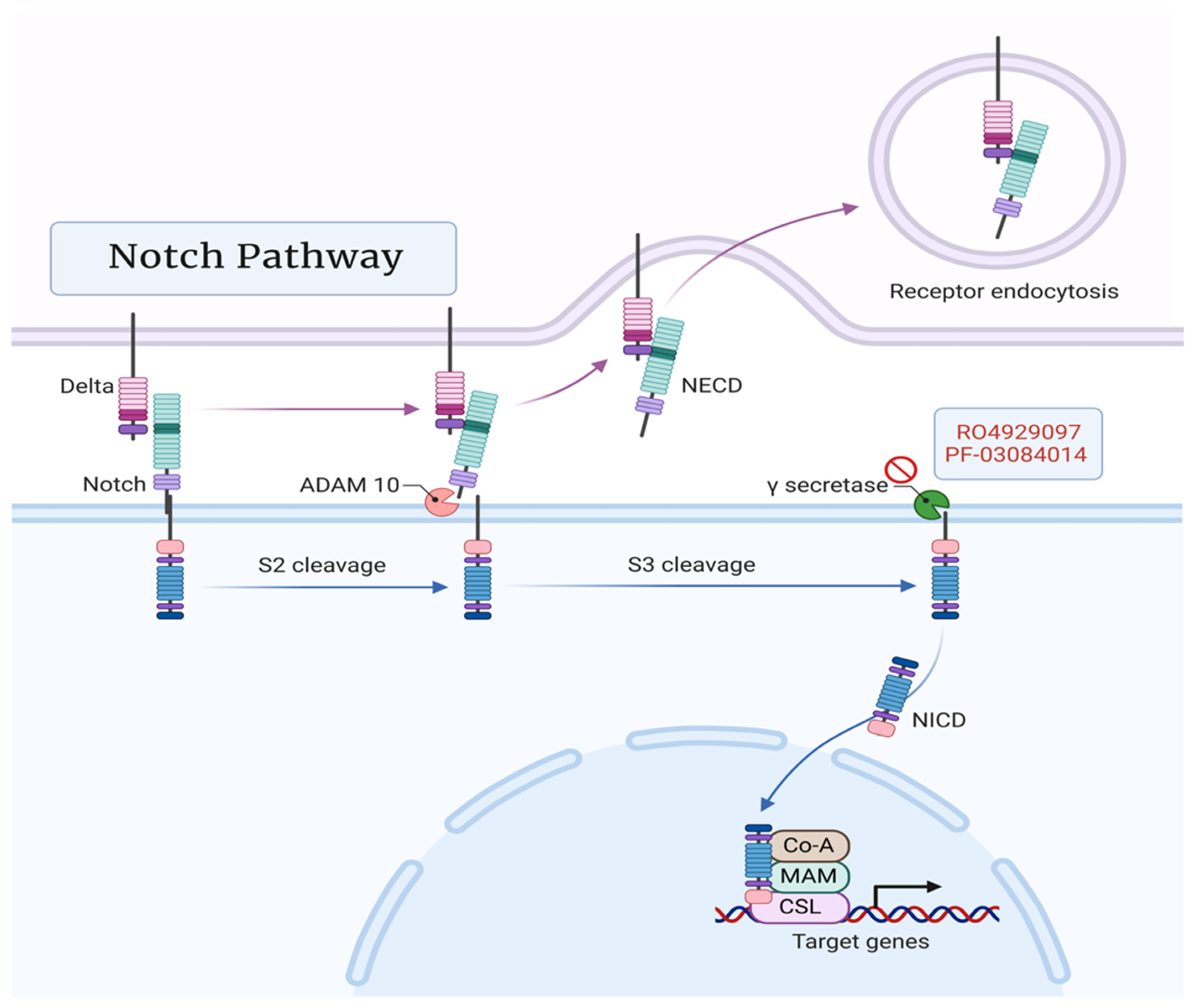 Cancers 15 01621 g004 Cancers 15 01621 g004