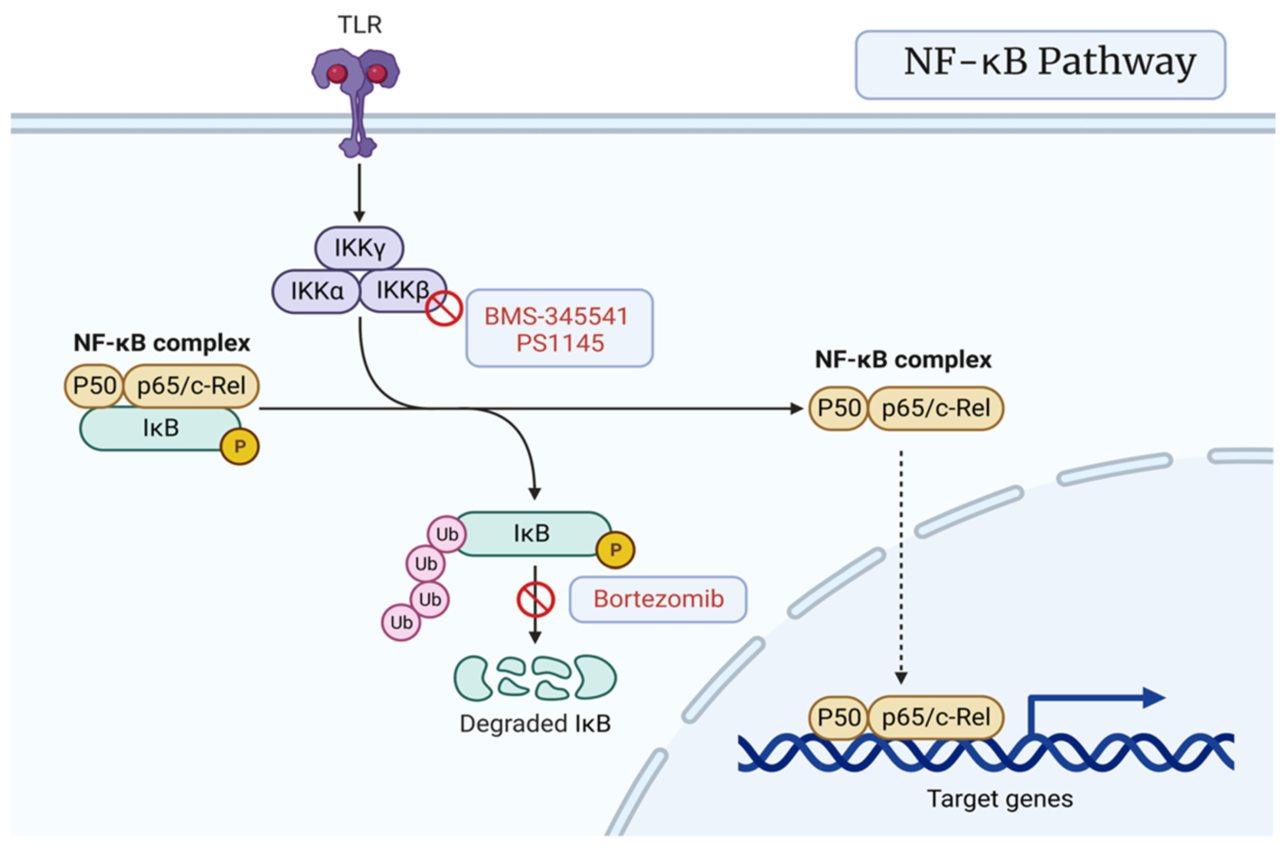 Cancers 15 01621 g005 Cancers 15 01621 g005