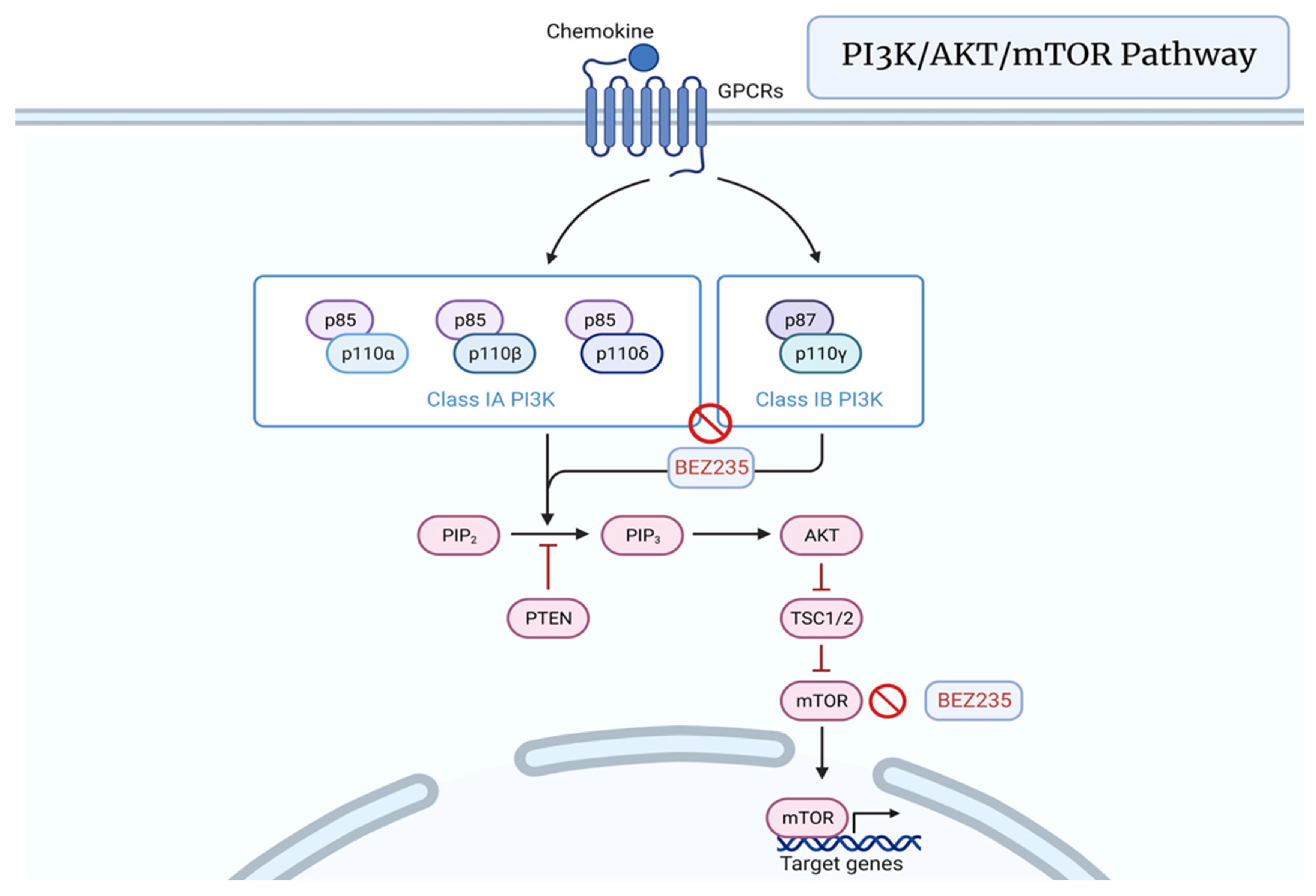 Cancers 15 01621 g006 Cancers 15 01621 g006