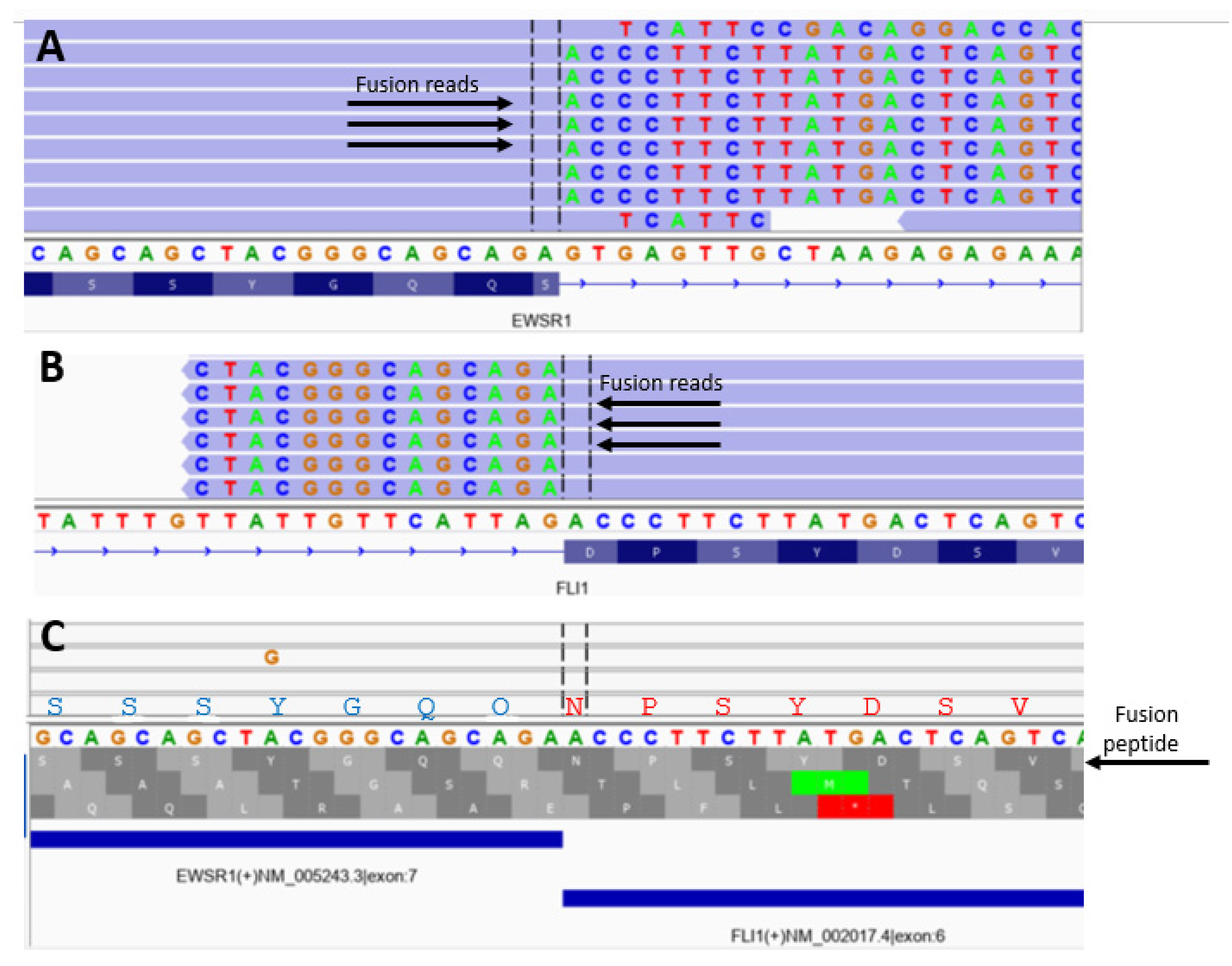Cancers 15 01623 g003