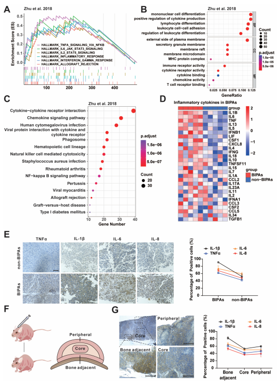 Cancers 15 01624 g001