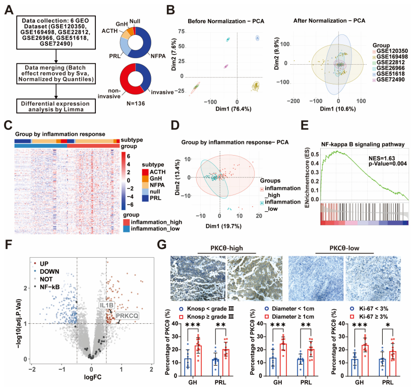 Cancers 15 01624 g002