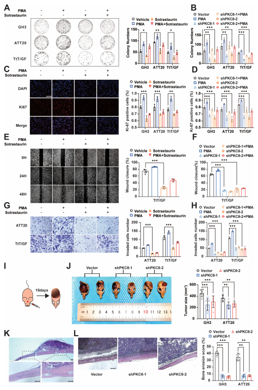 Cancers 15 01624 g003