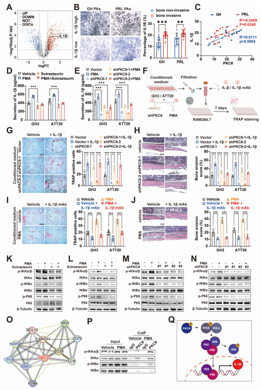 Cancers 15 01624 g005