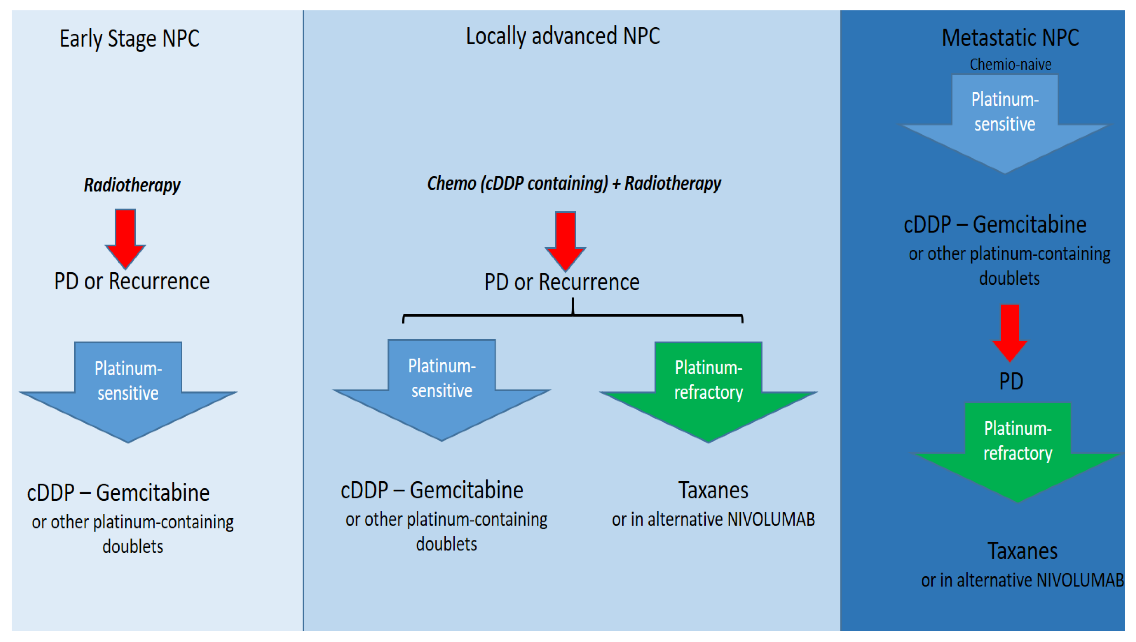 Cancers 15 01626 g004 Cancers 15 01626 g004