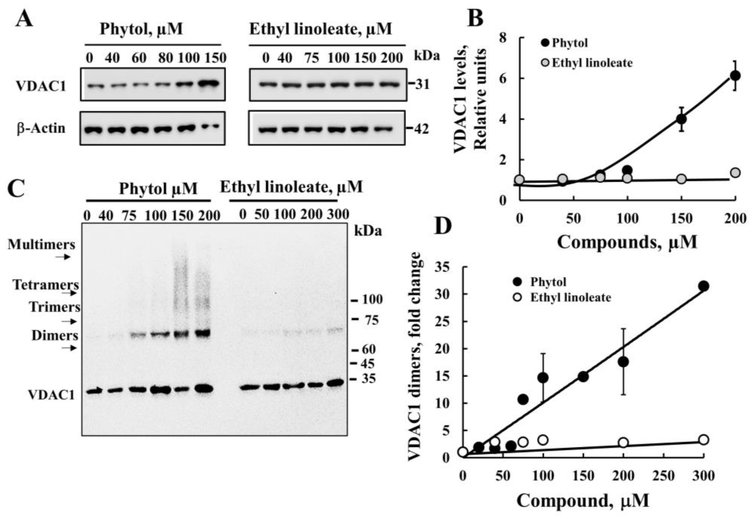 Cancers 15 01627 g005 Cancers 15 01627 g005