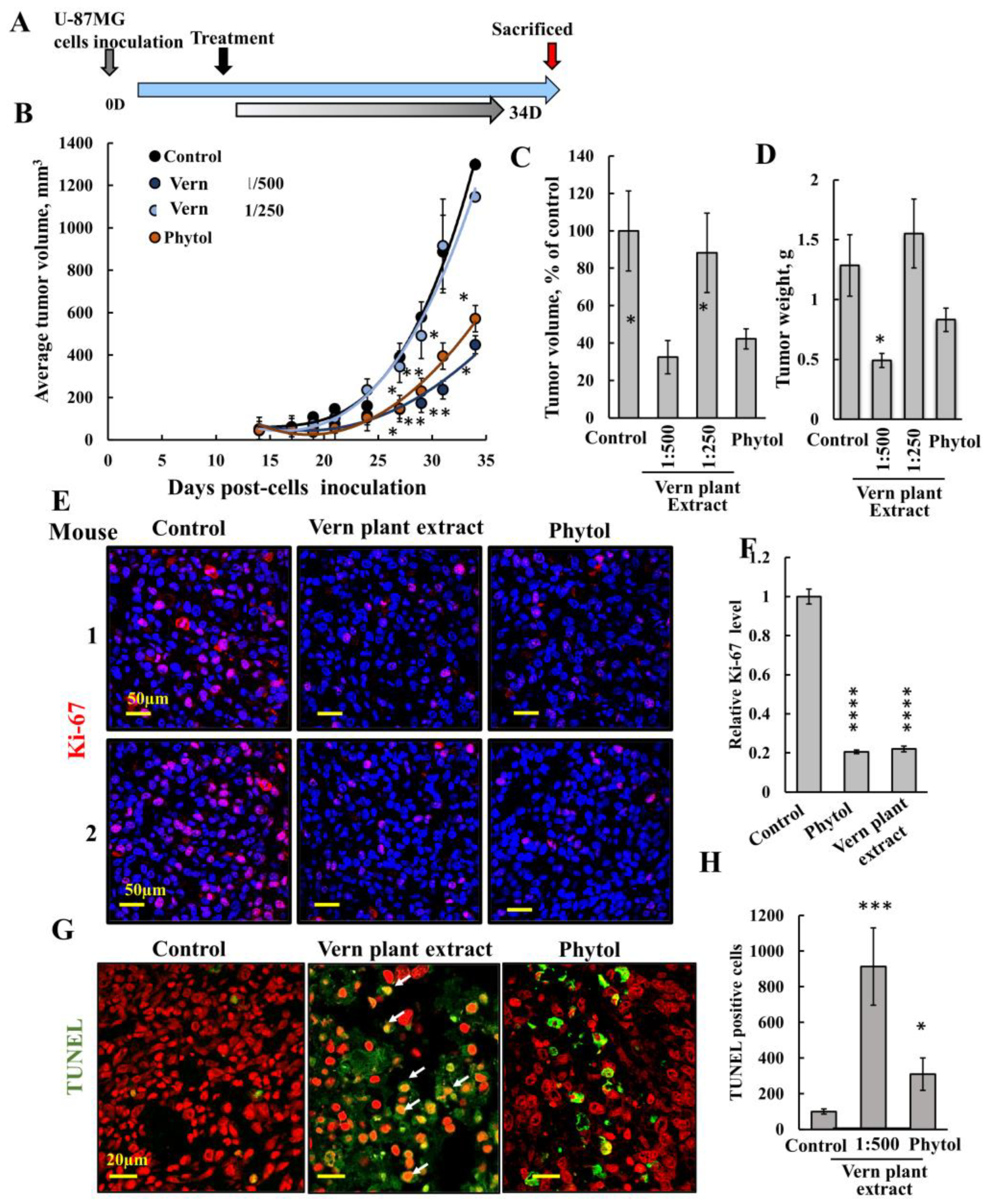 Cancers 15 01627 g006 Cancers 15 01627 g006