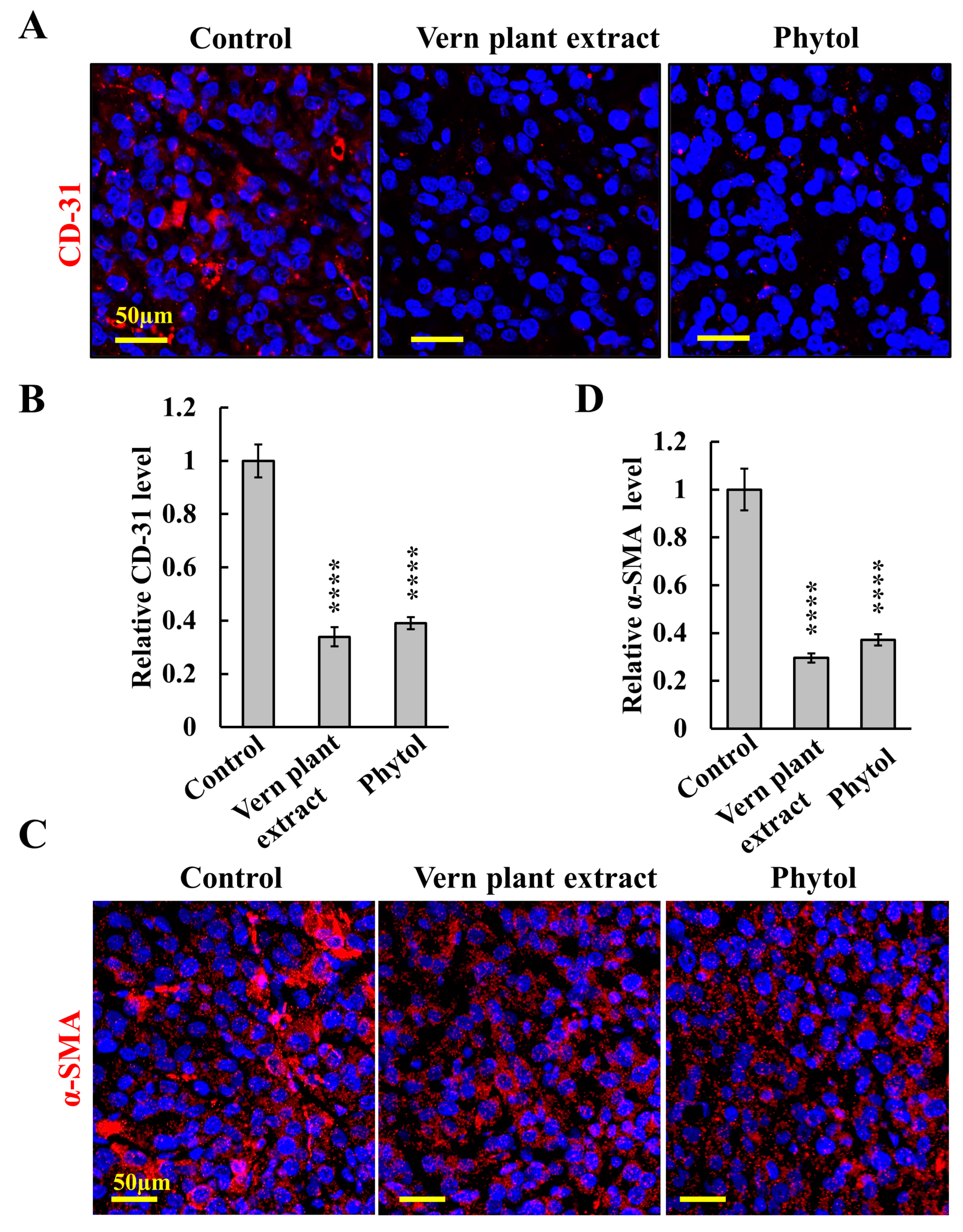 Cancers 15 01627 g008 Cancers 15 01627 g008