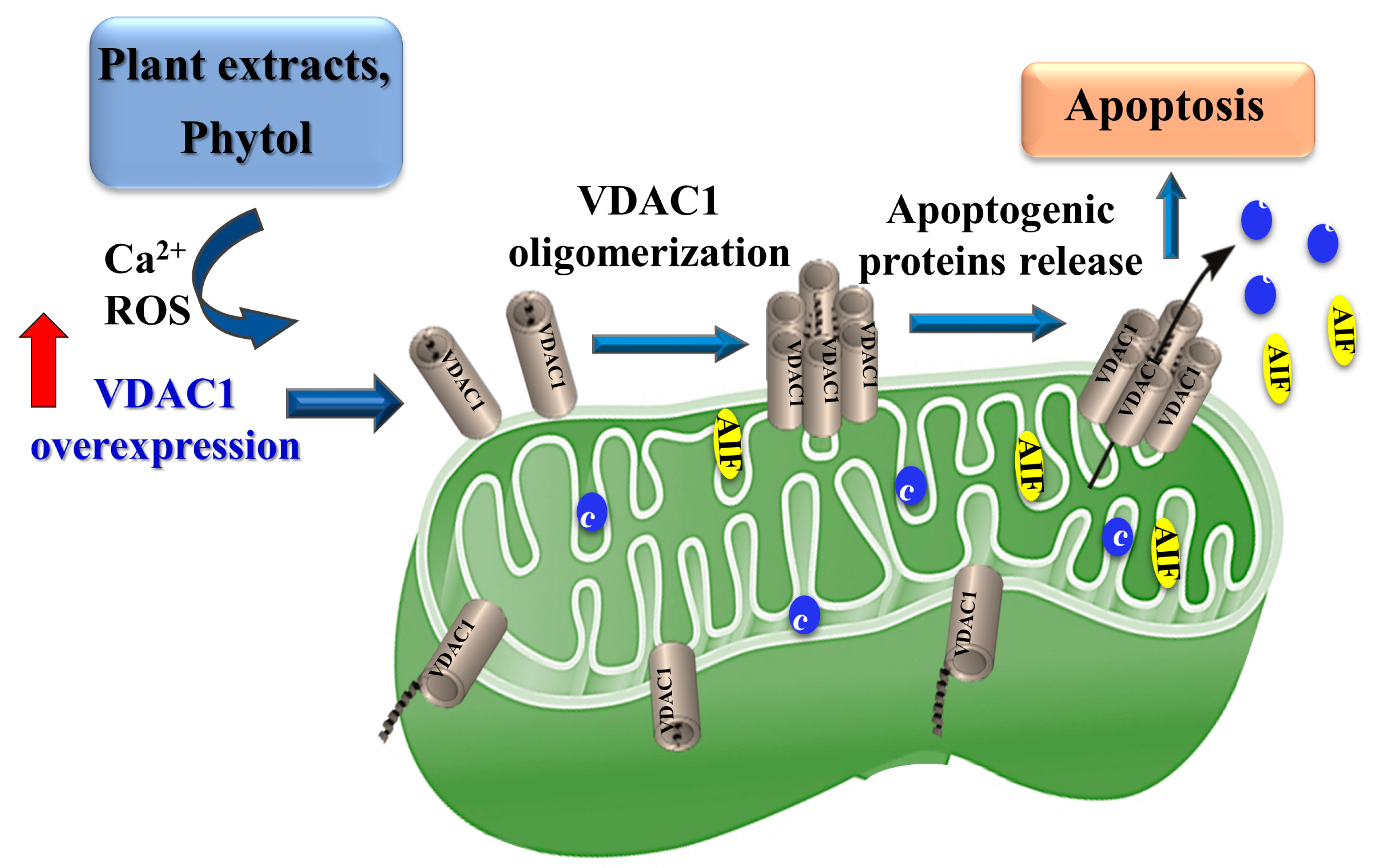 Cancers 15 01627 g010 Cancers 15 01627 g010