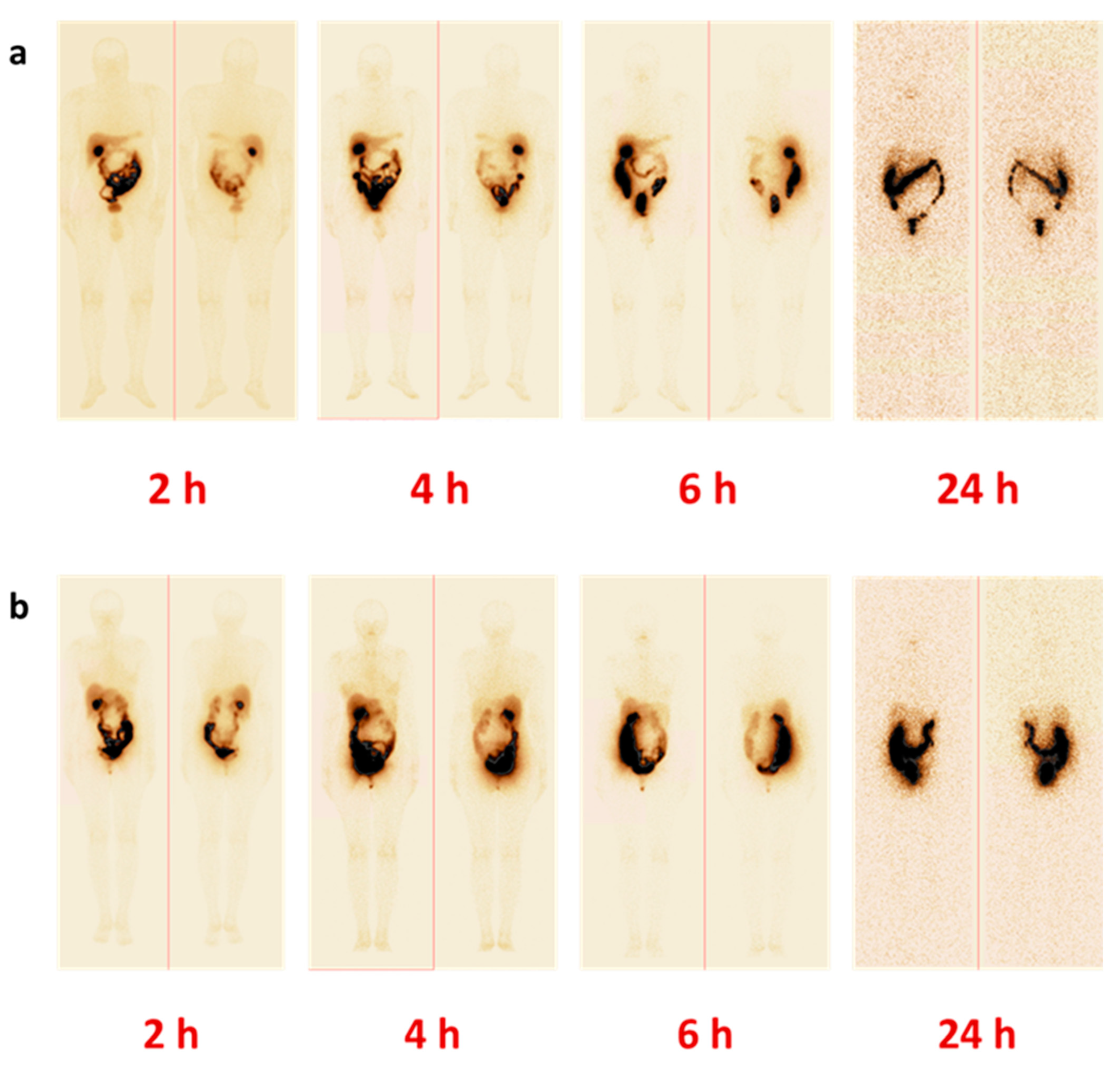 Cancers 15 01631 g003 Cancers 15 01631 g003