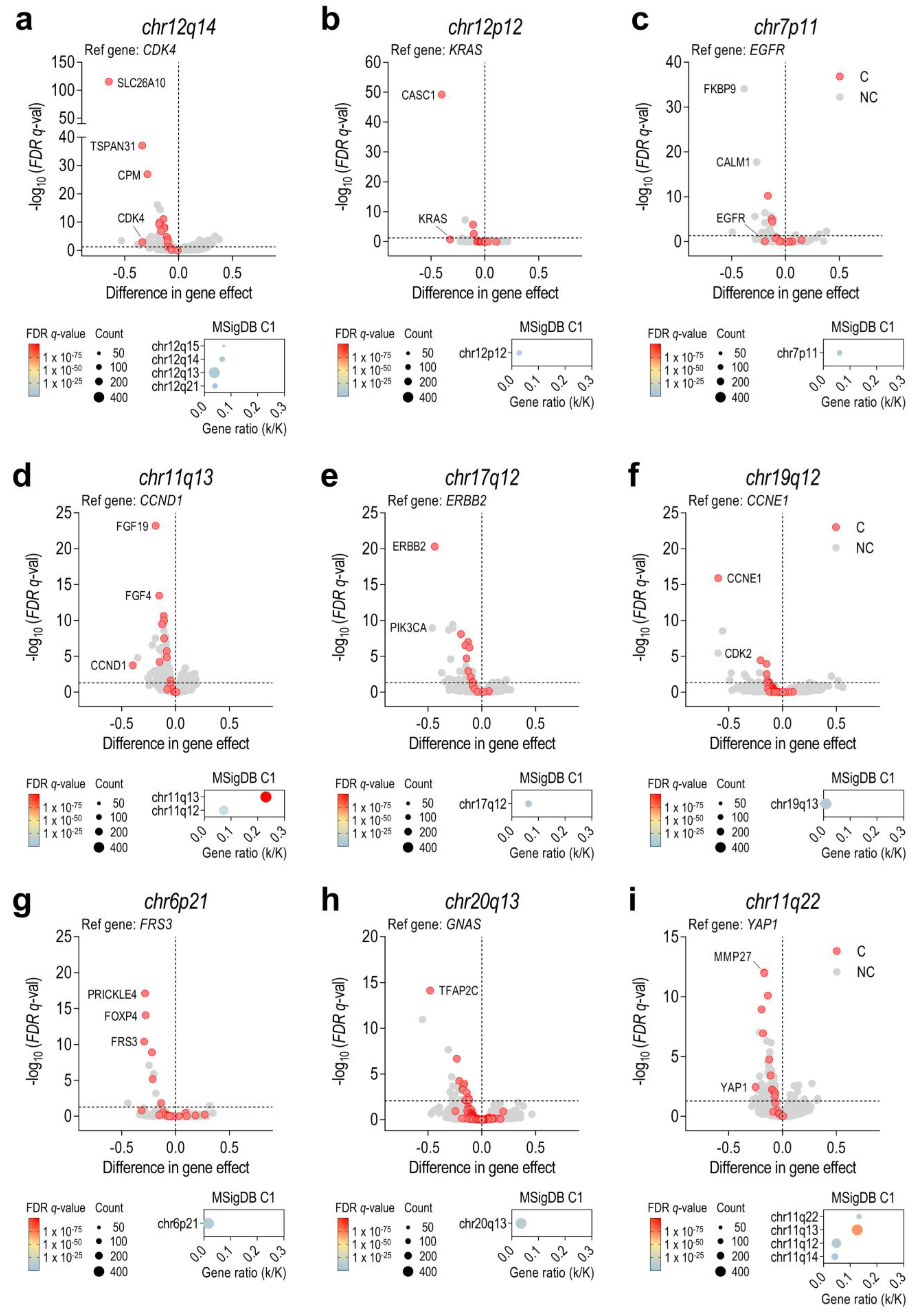 Cancers 15 01636 g002
