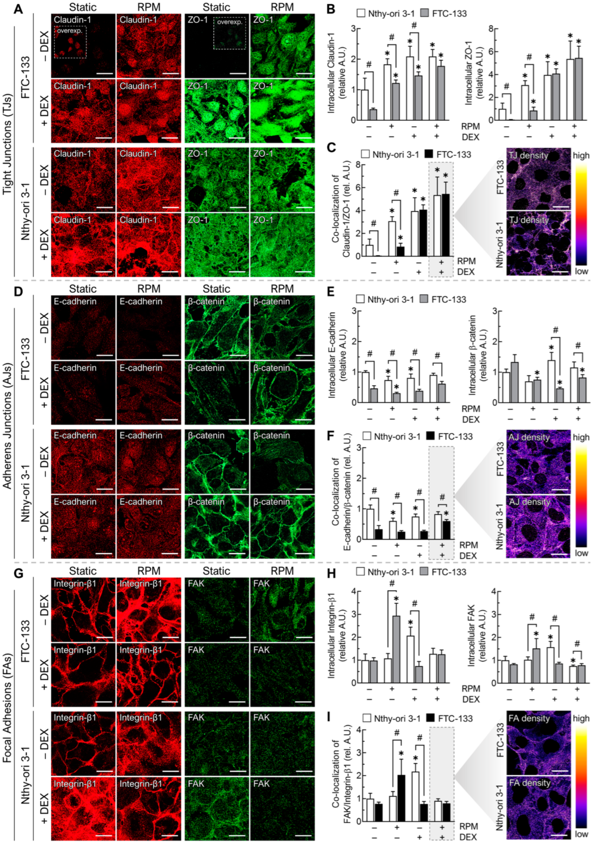Cancers 15 01641 g005 Cancers 15 01641 g005