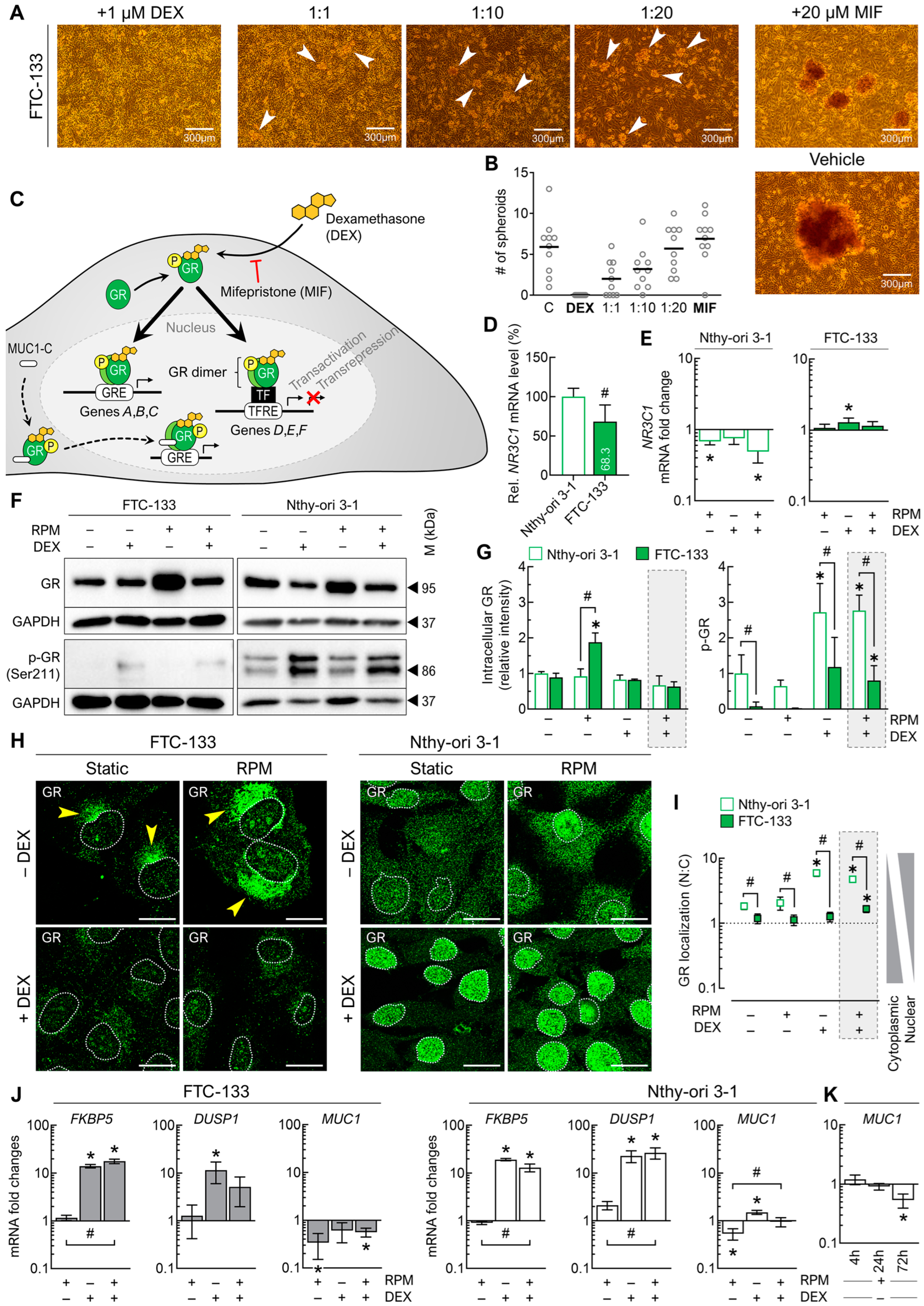 Cancers 15 01641 g007 Cancers 15 01641 g007