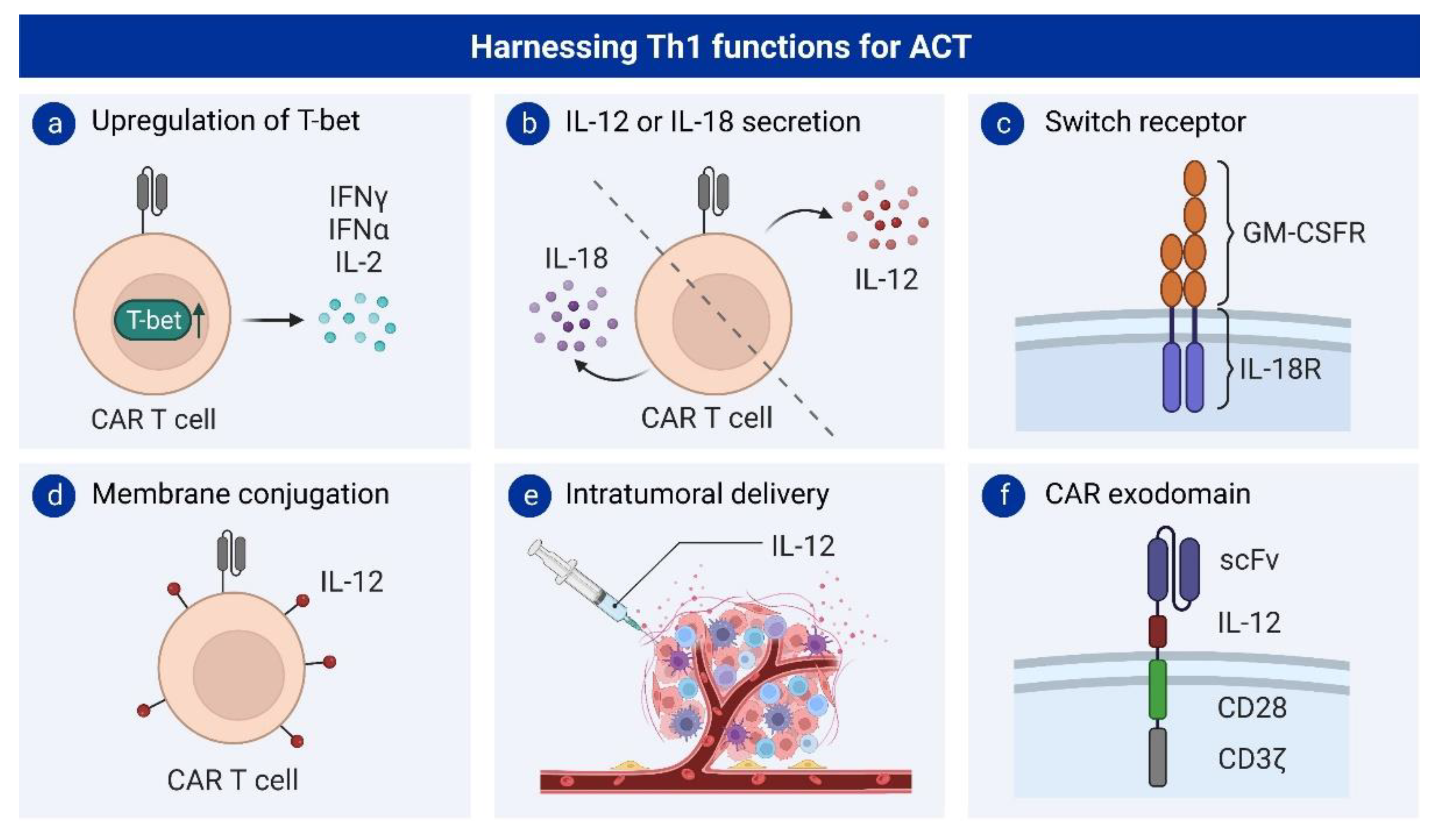 Cancers 15 01650 g002 Cancers 15 01650 g002