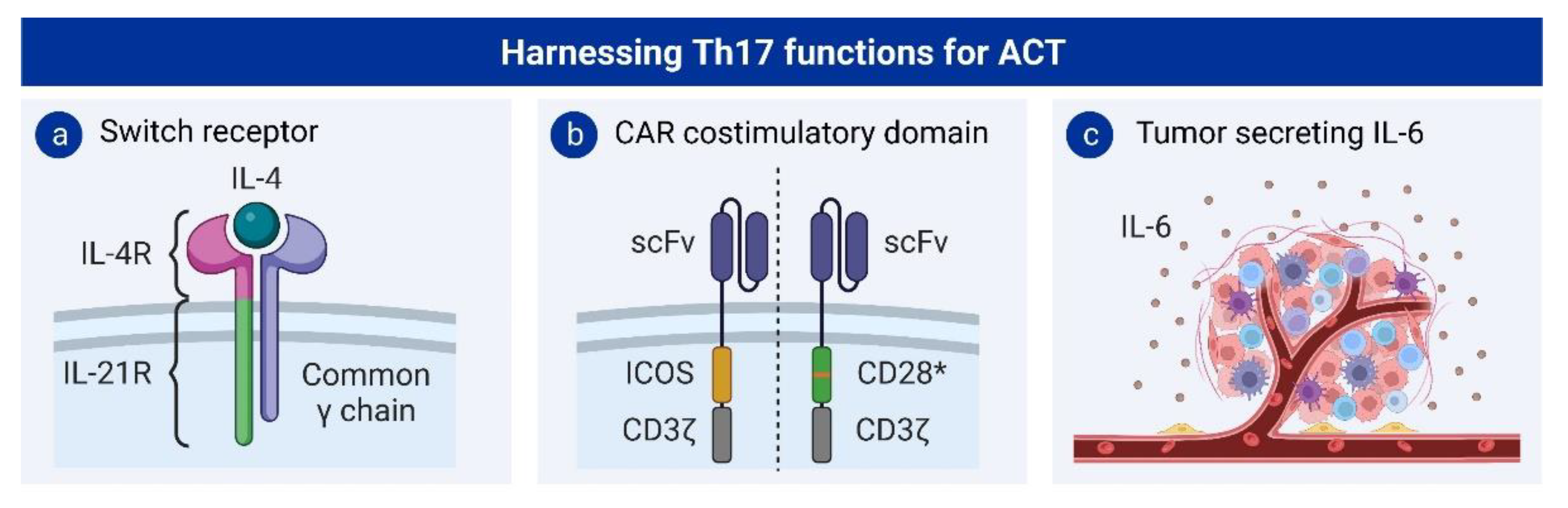 Cancers 15 01650 g004 Cancers 15 01650 g004