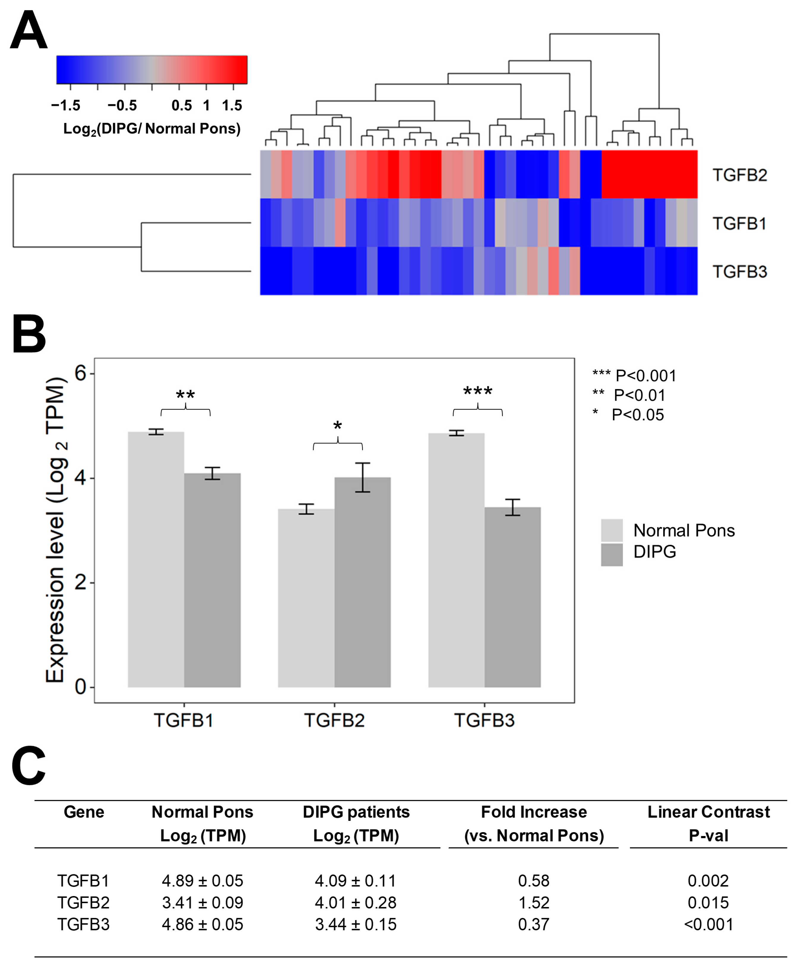Cancers 15 01676 g001 Cancers 15 01676 g001