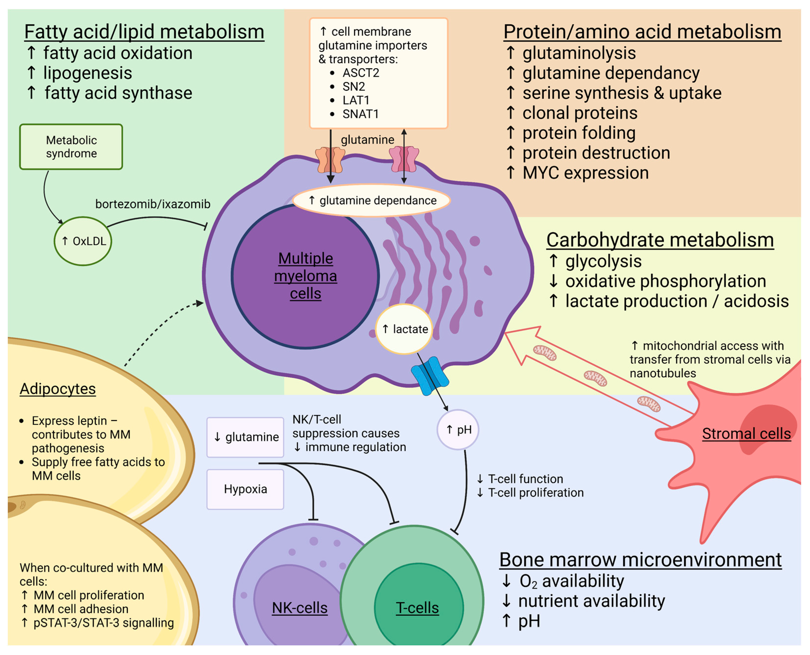 Cancers 15 01682 g001 Cancers 15 01682 g001