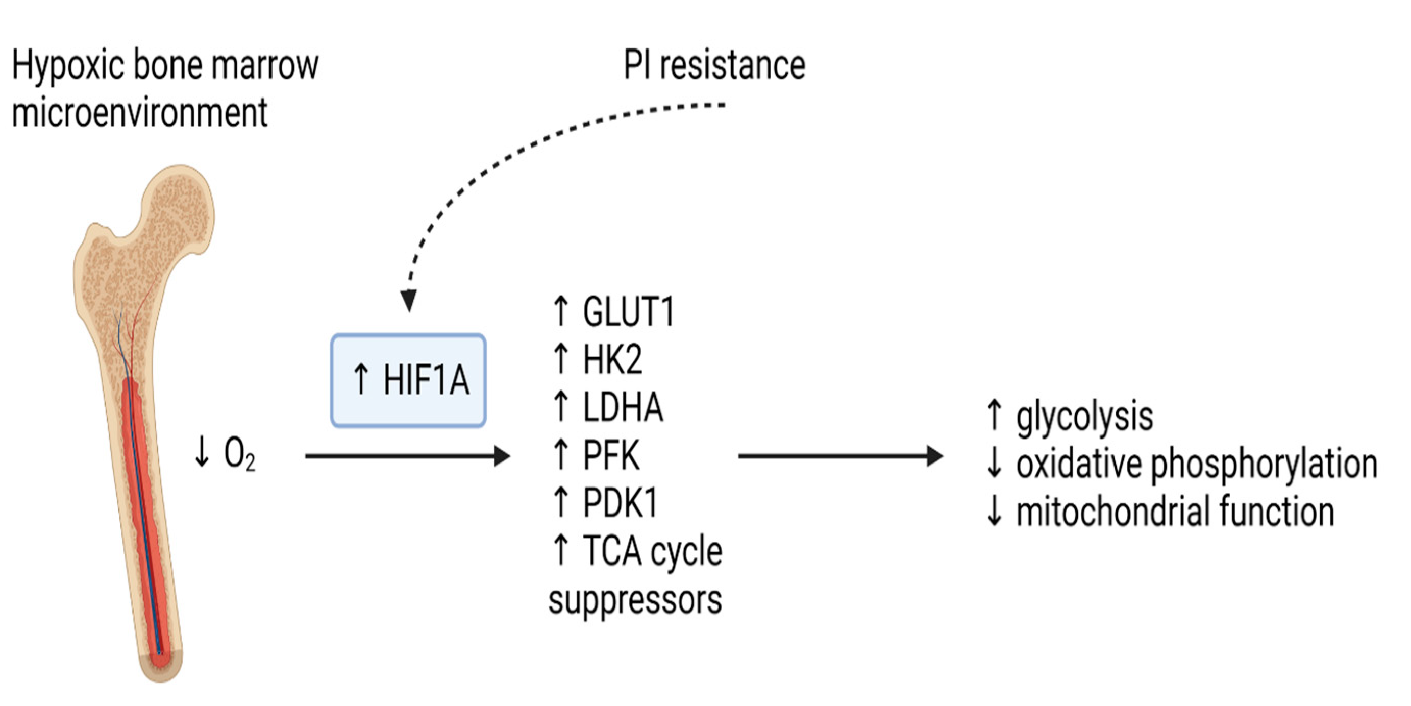 Cancers 15 01682 g002 Cancers 15 01682 g002