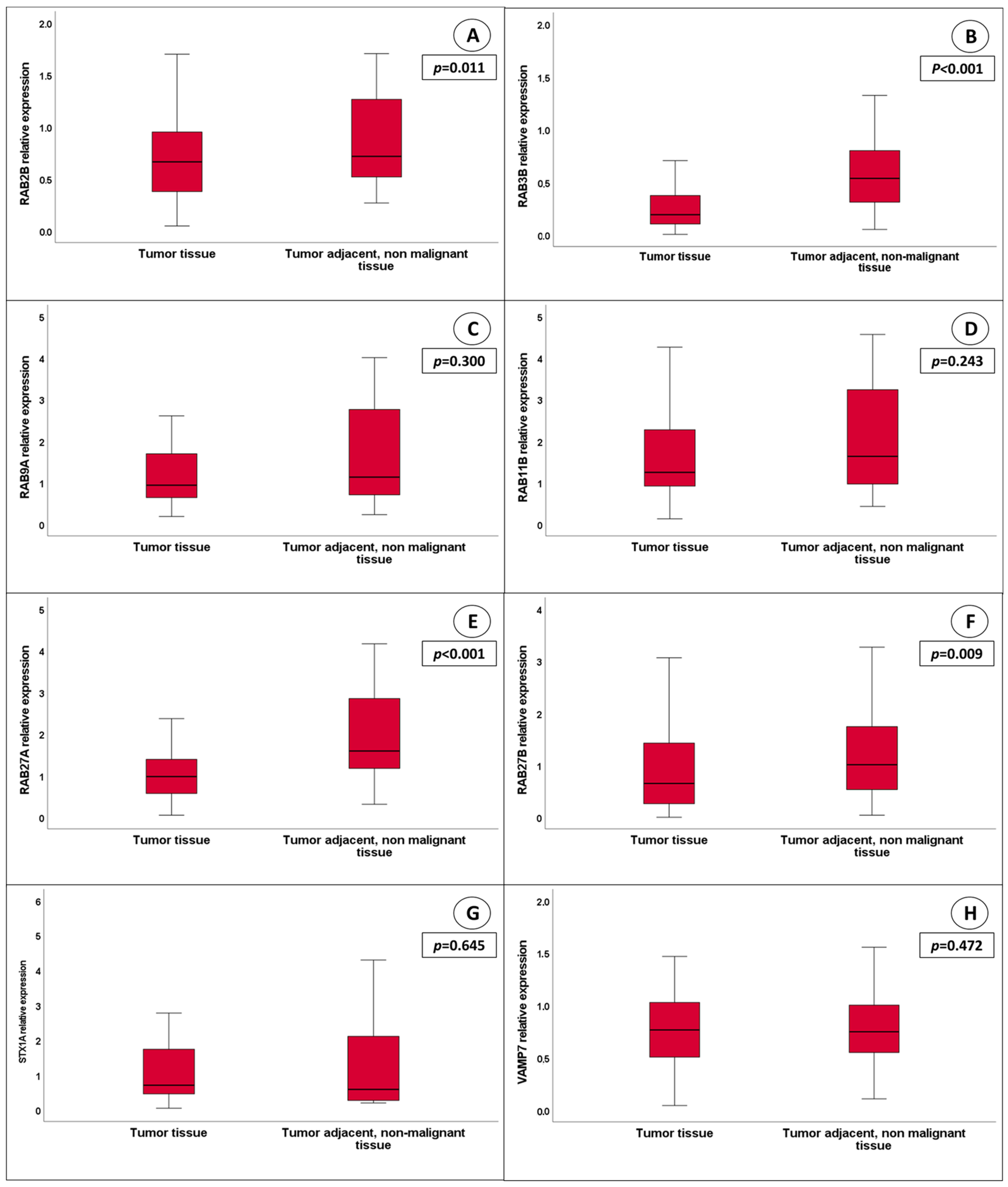 Cancers 15 01685 g001 Cancers 15 01685 g001