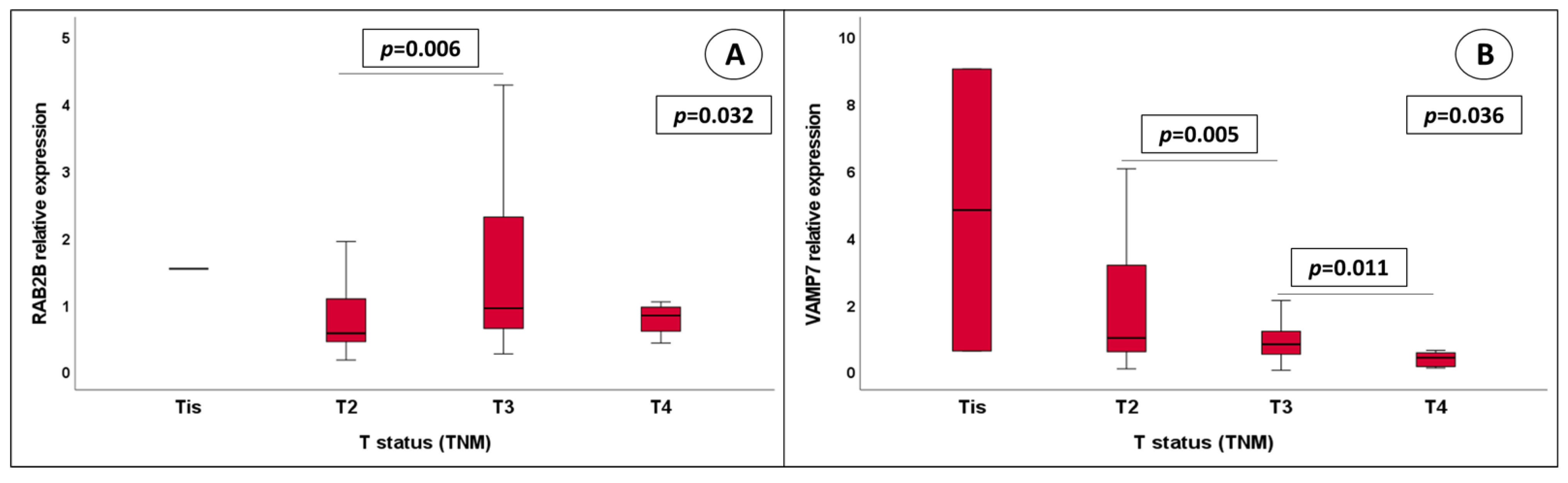 Cancers 15 01685 g004 Cancers 15 01685 g004