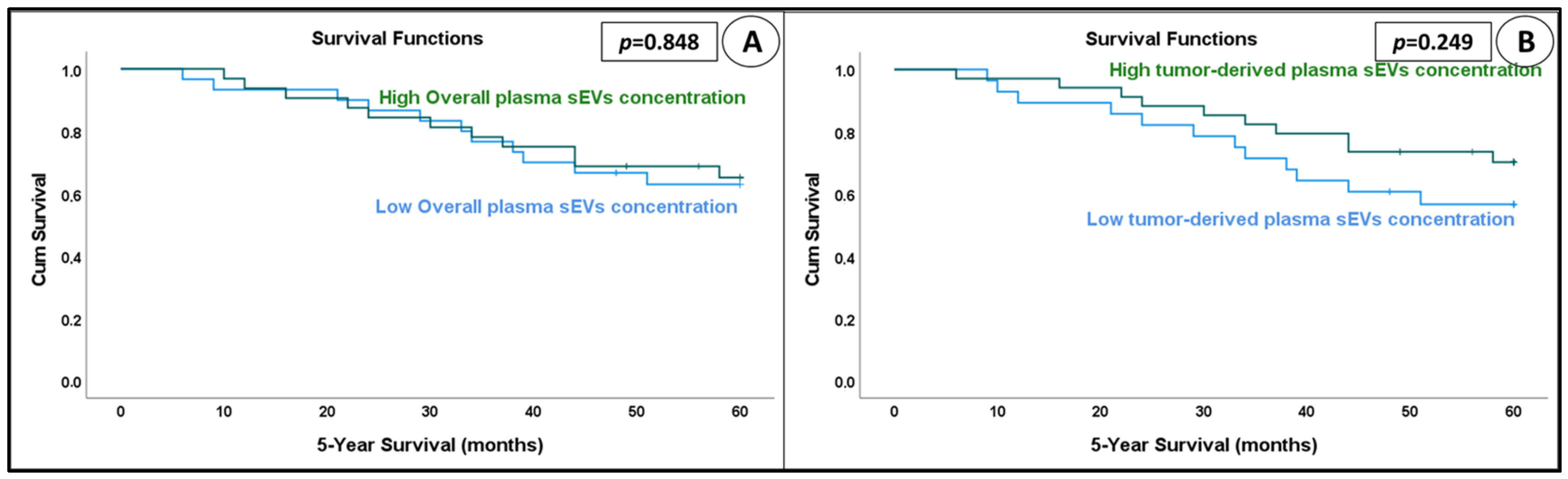 Cancers 15 01685 g007 Cancers 15 01685 g007