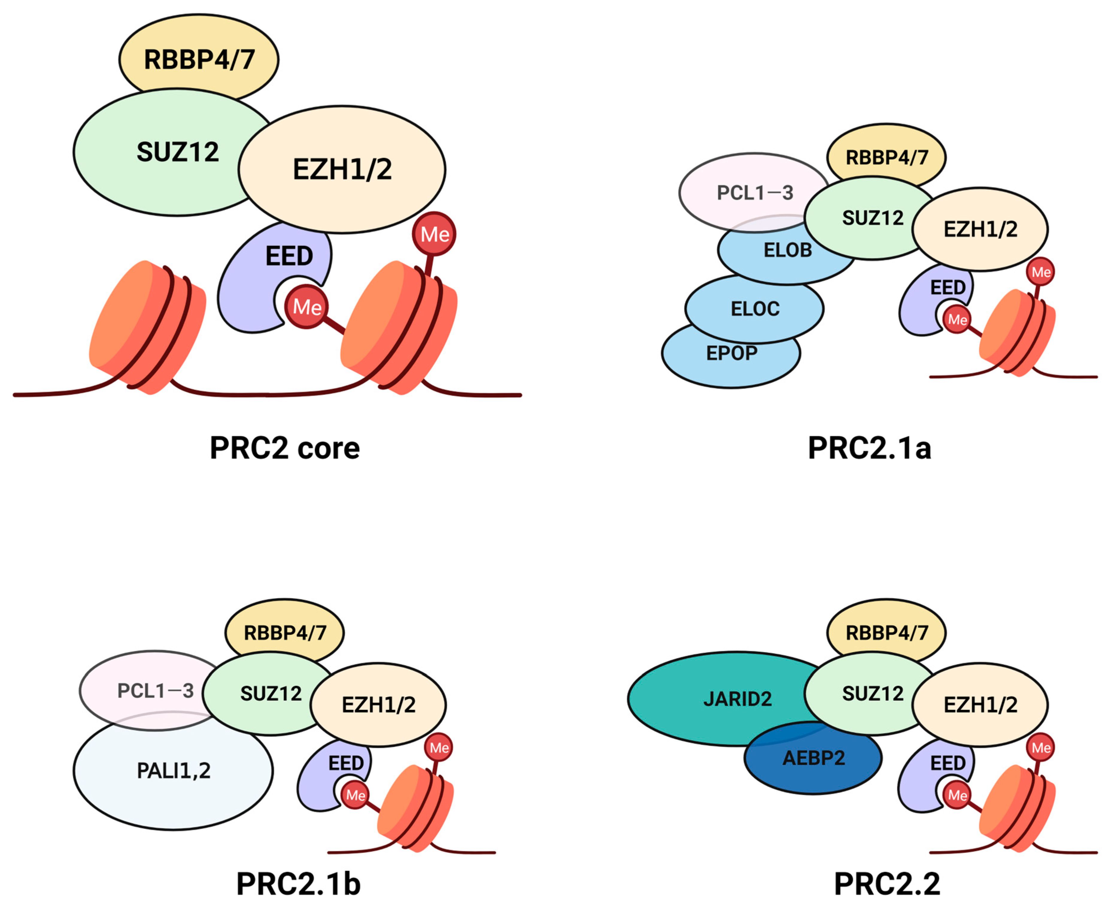Cancers 15 01693 g001 Cancers 15 01693 g001