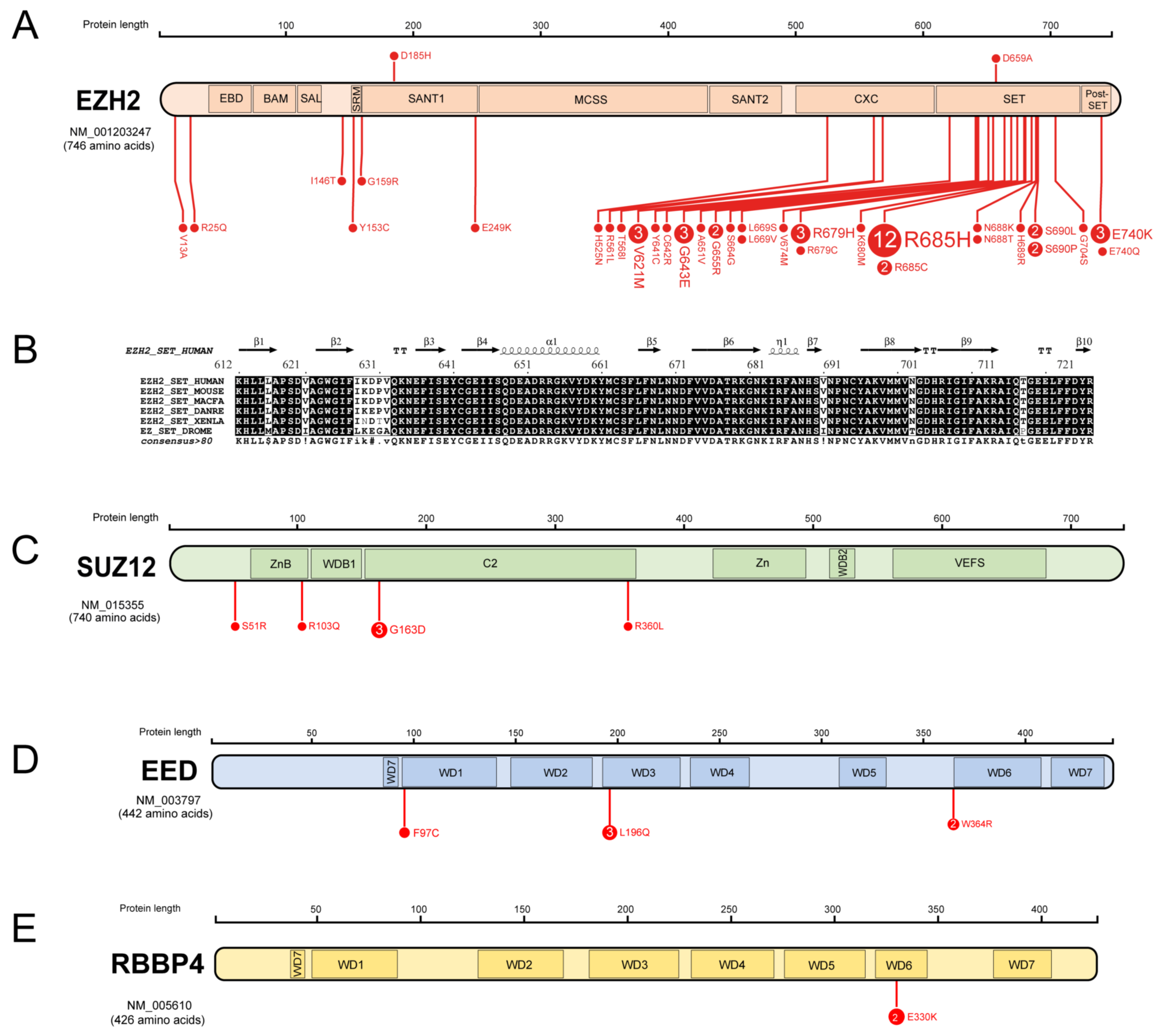 Cancers 15 01693 g003 Cancers 15 01693 g003