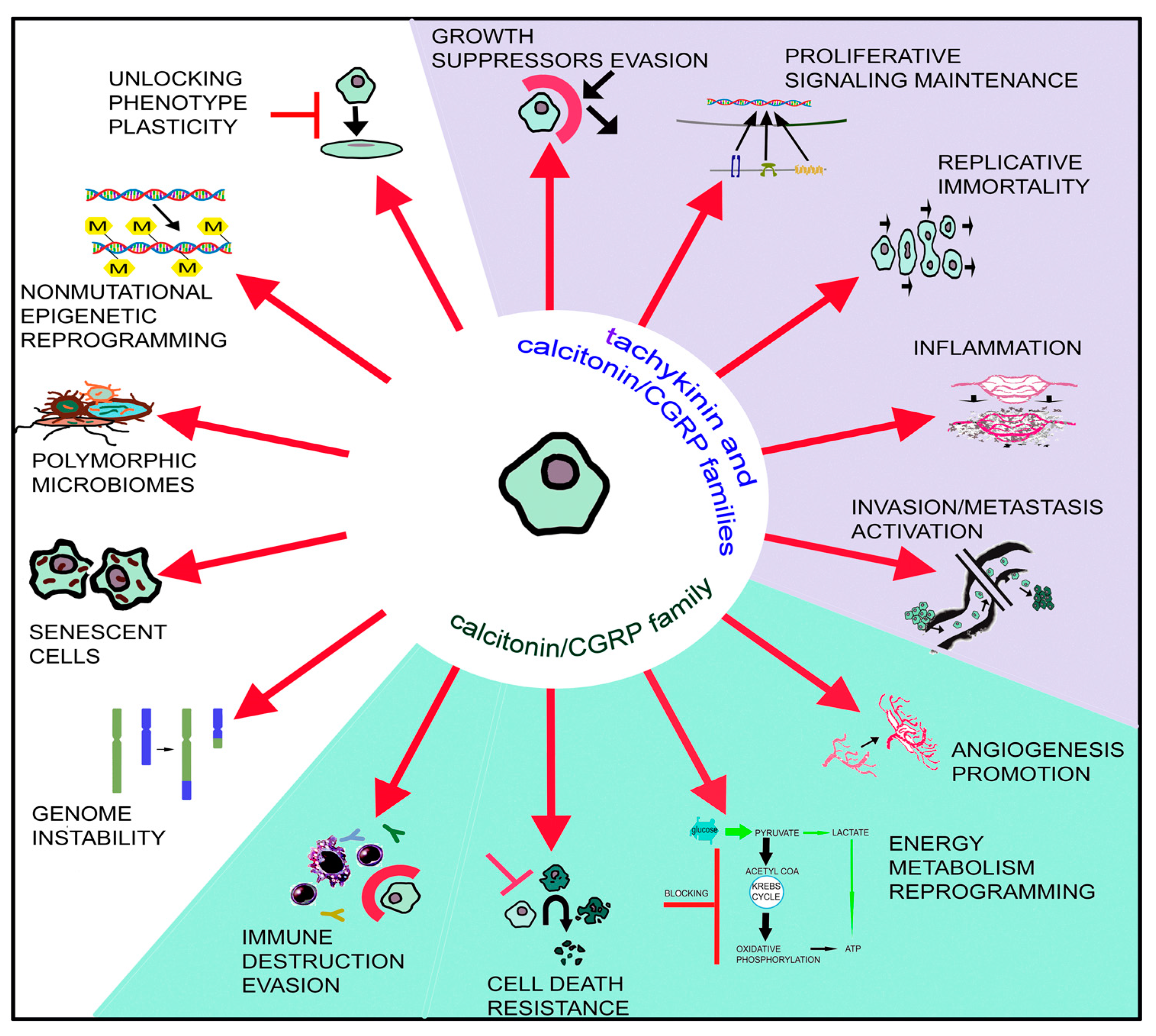 Cancers 15 01694 g001 Cancers 15 01694 g001