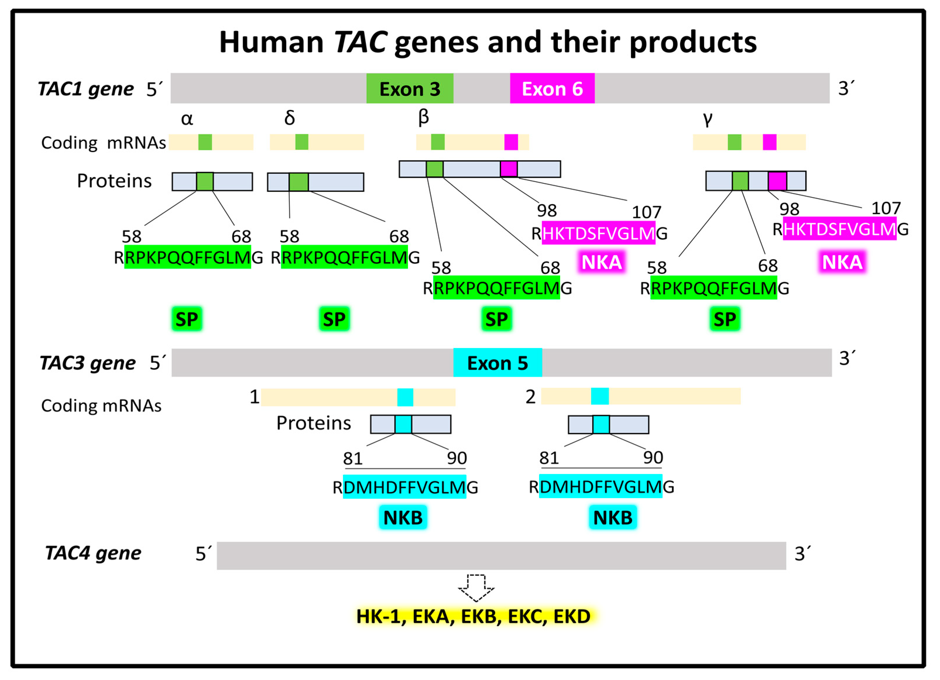 Cancers 15 01694 g002 Cancers 15 01694 g002