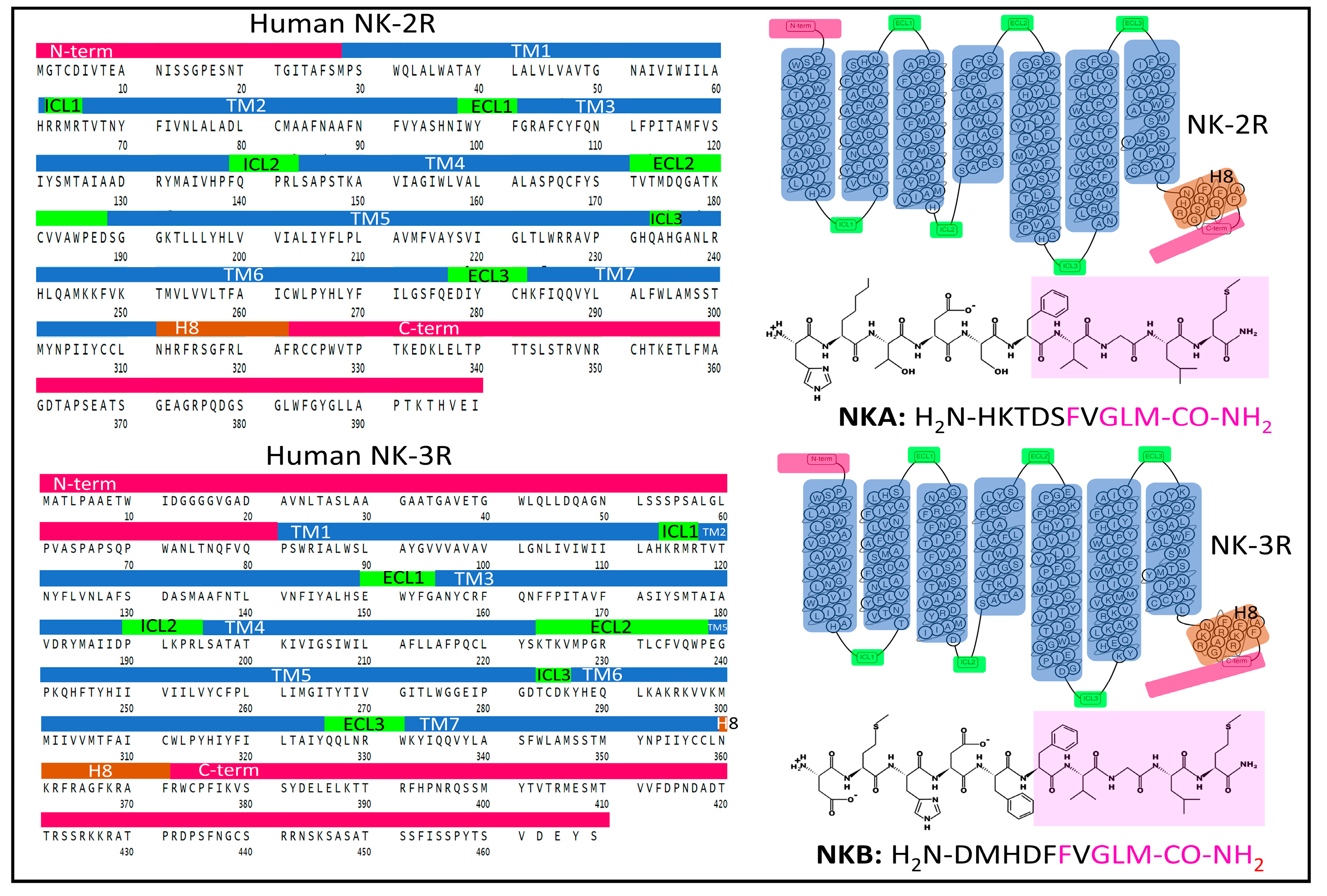 Cancers 15 01694 g003 Cancers 15 01694 g003