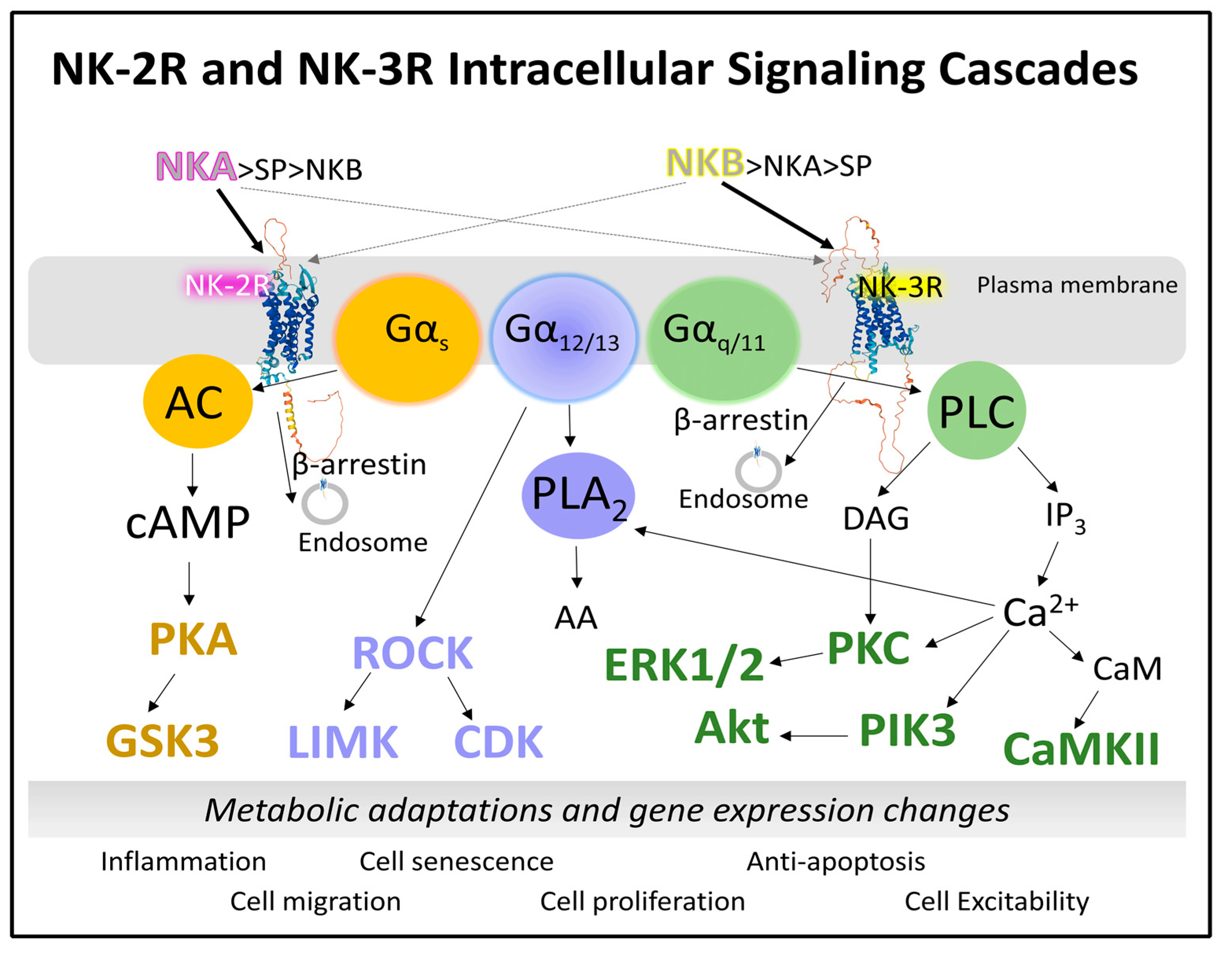 Cancers 15 01694 g006 Cancers 15 01694 g006