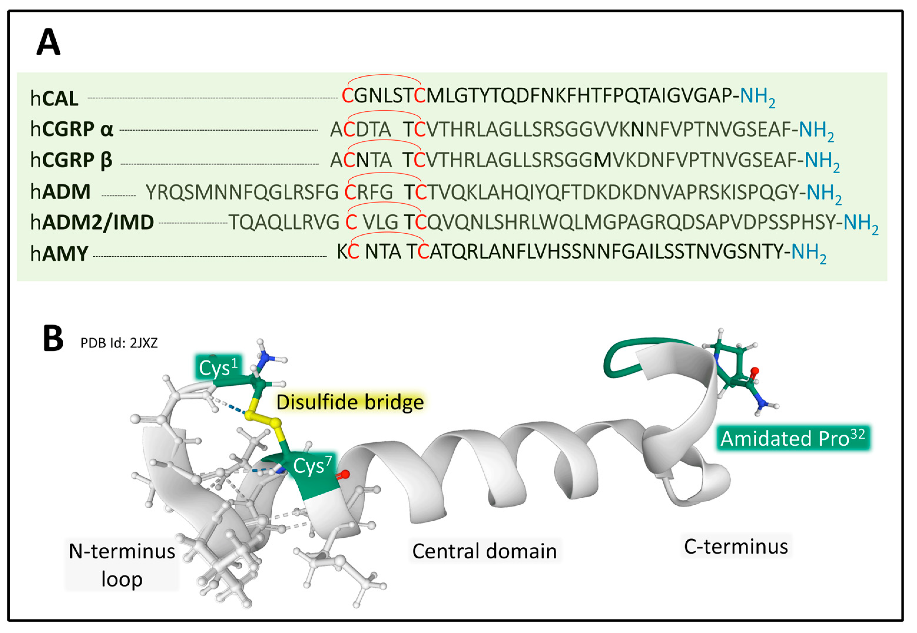 Cancers 15 01694 g007 Cancers 15 01694 g007