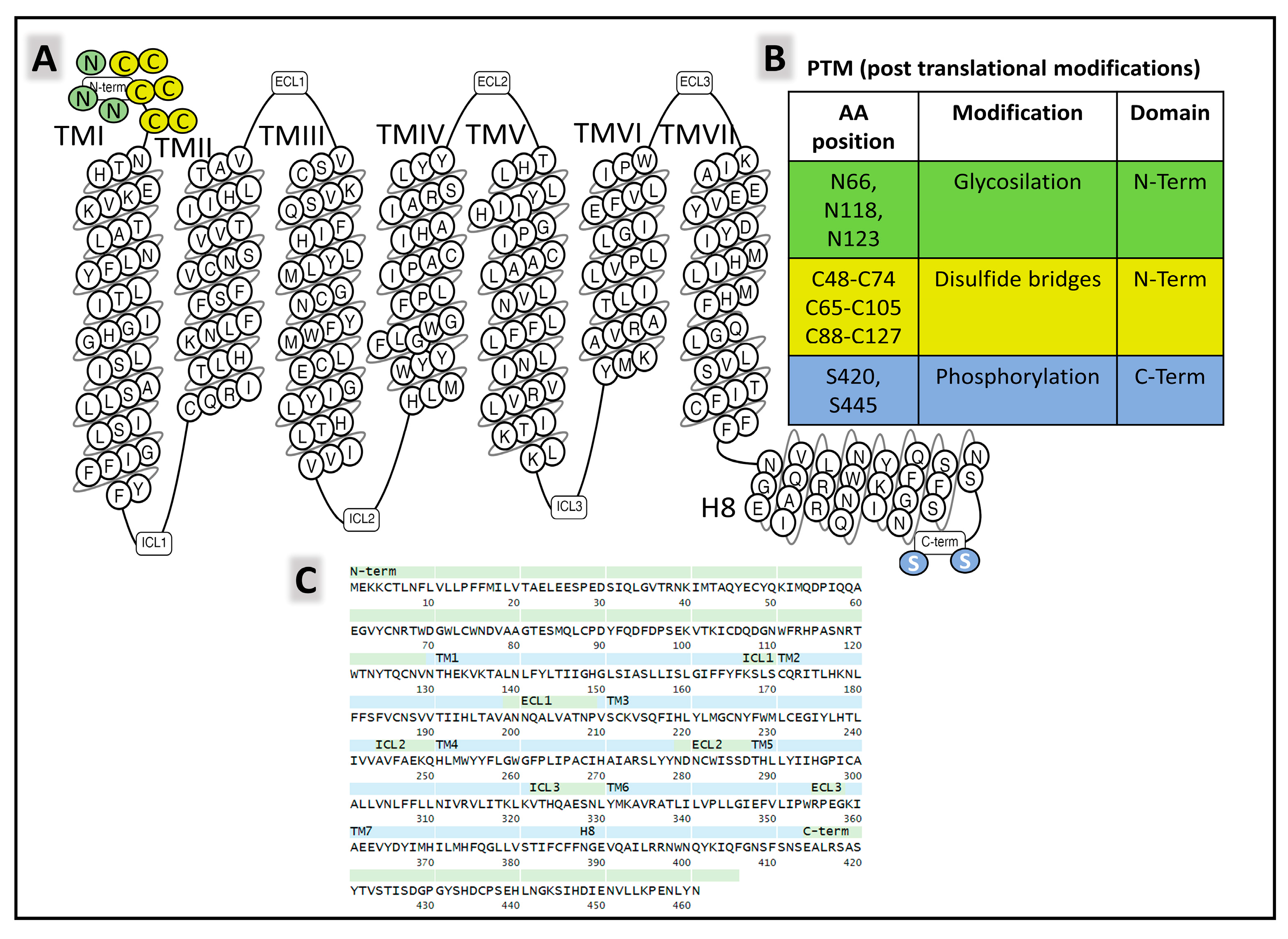 Cancers 15 01694 g009 Cancers 15 01694 g009