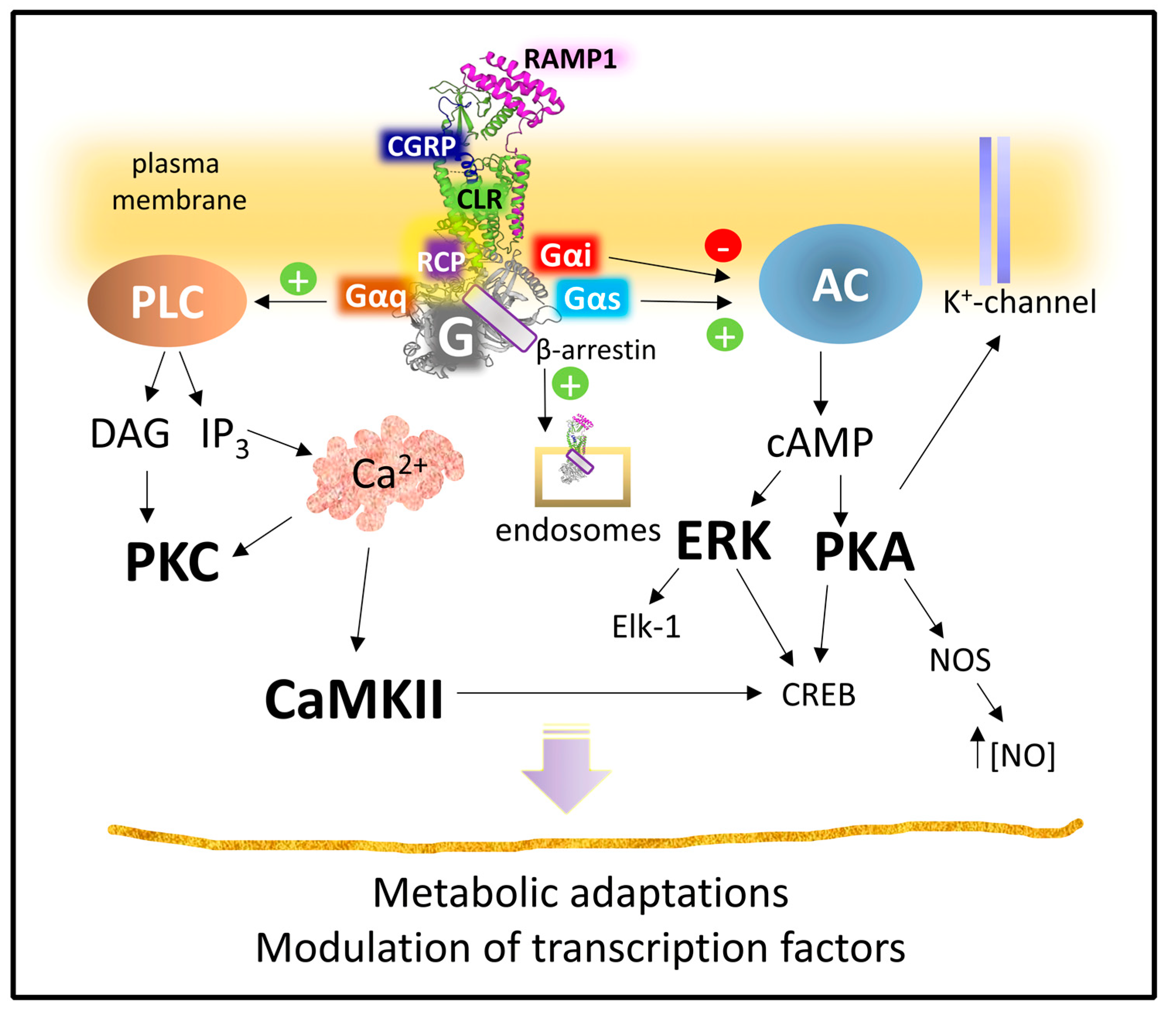 Cancers 15 01694 g012 Cancers 15 01694 g012