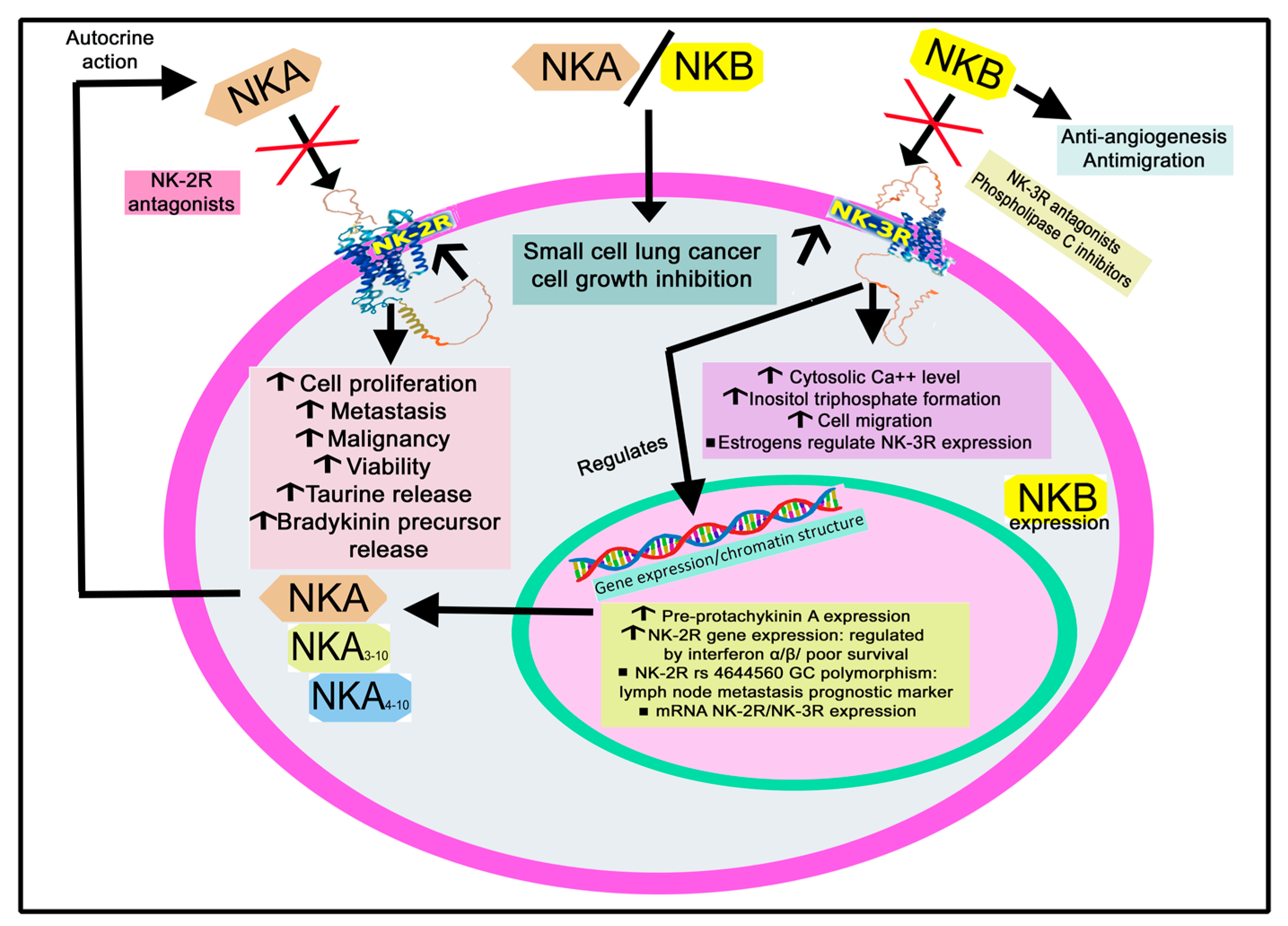 Cancers 15 01694 g013 Cancers 15 01694 g013