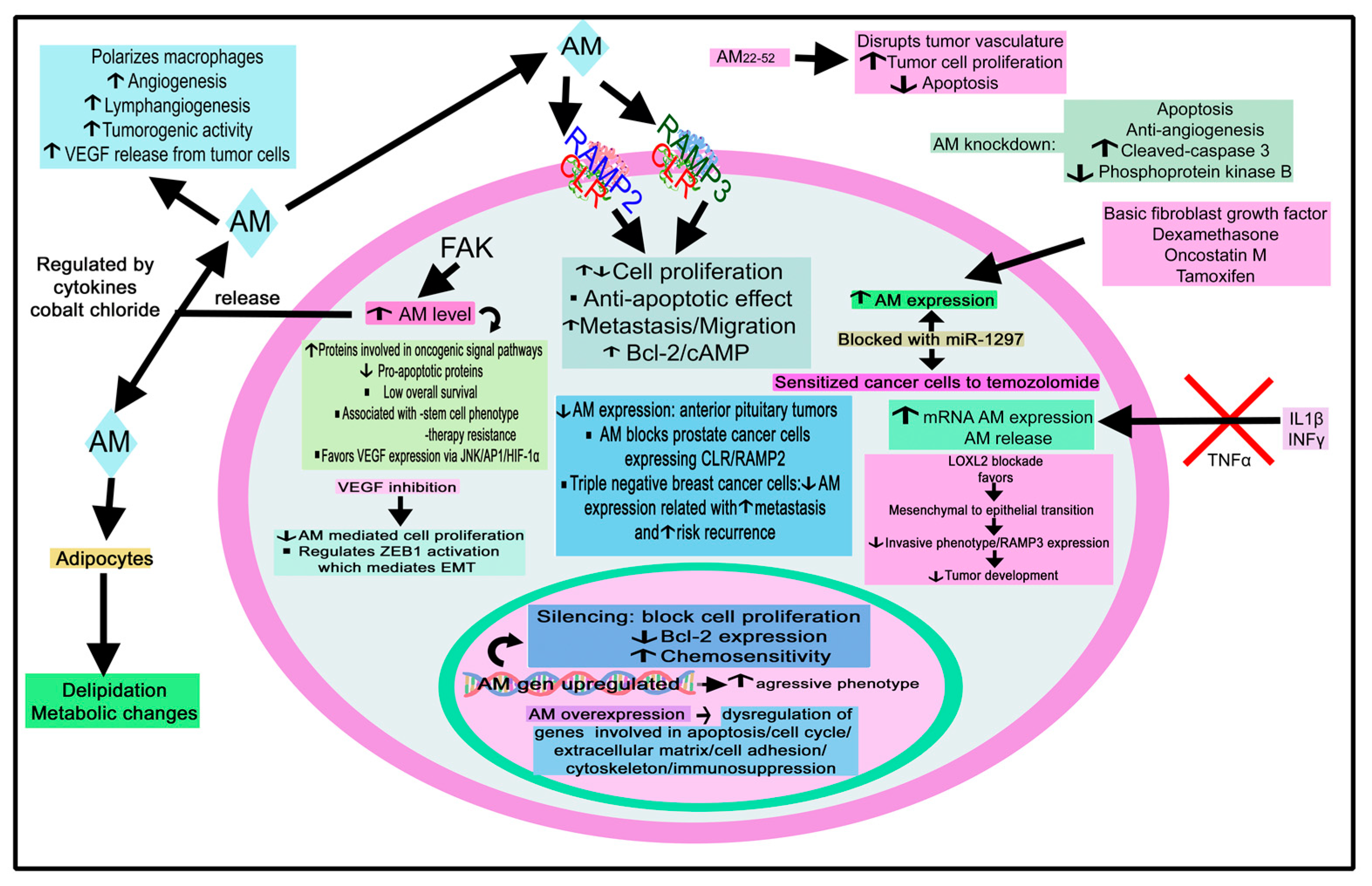 Cancers 15 01694 g014 Cancers 15 01694 g014