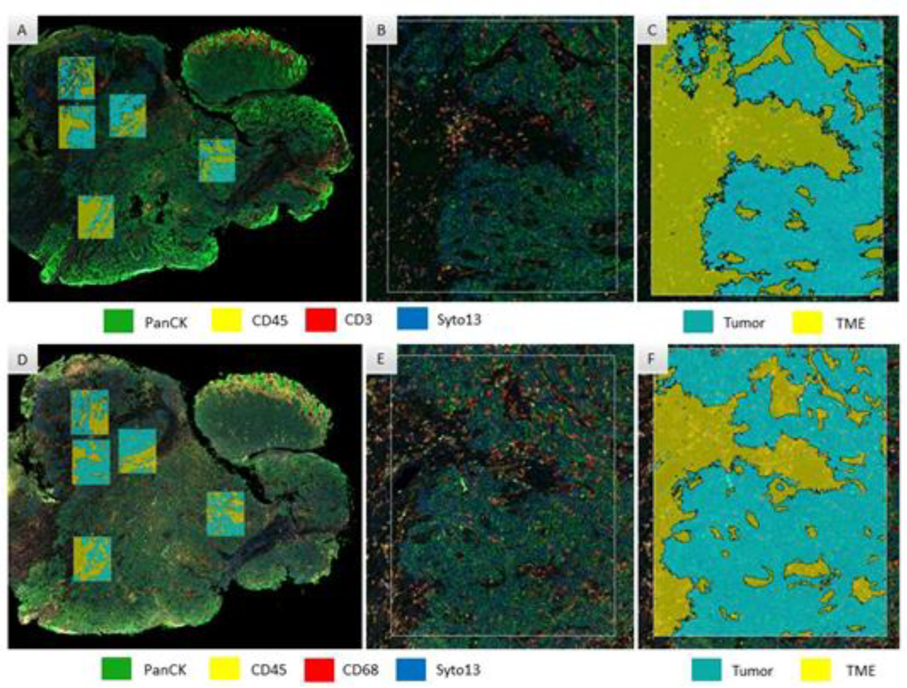 Cancers 15 01701 g001 Cancers 15 01701 g001