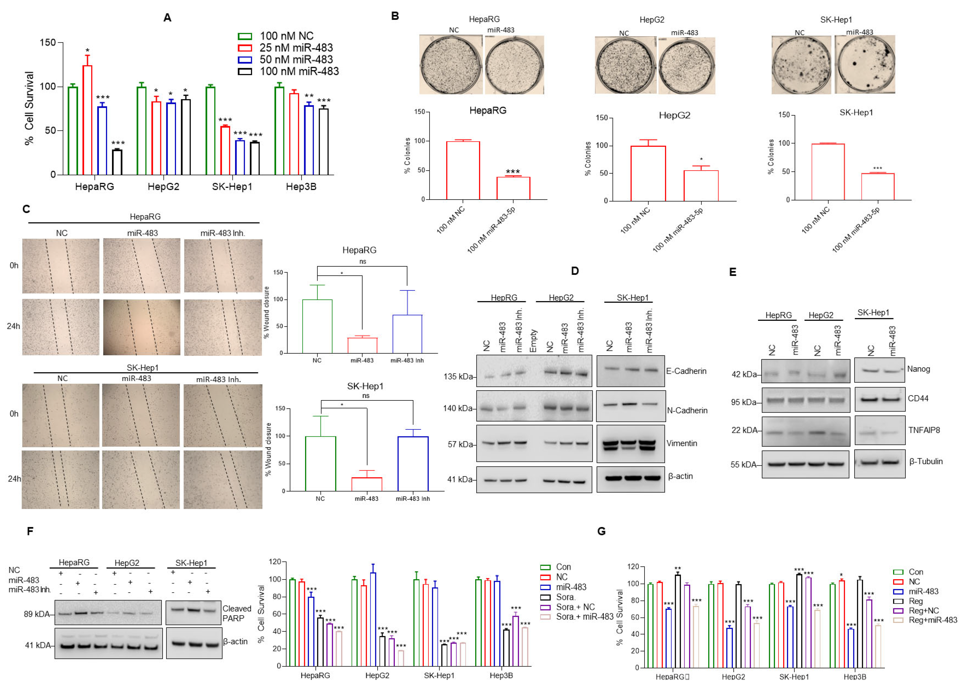 Cancers 15 01715 g003 Cancers 15 01715 g003