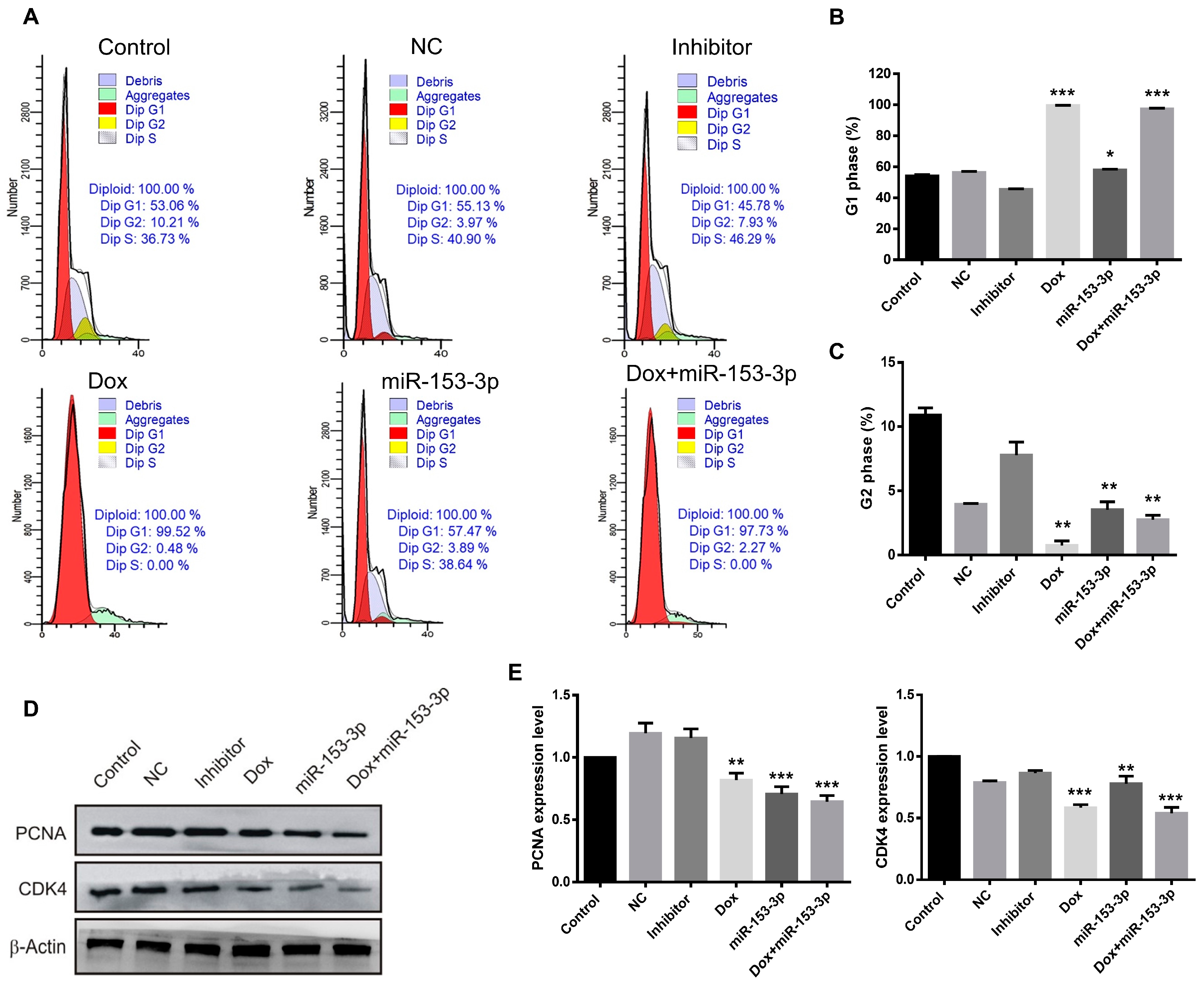 Cancers 15 01724 g008 Cancers 15 01724 g008