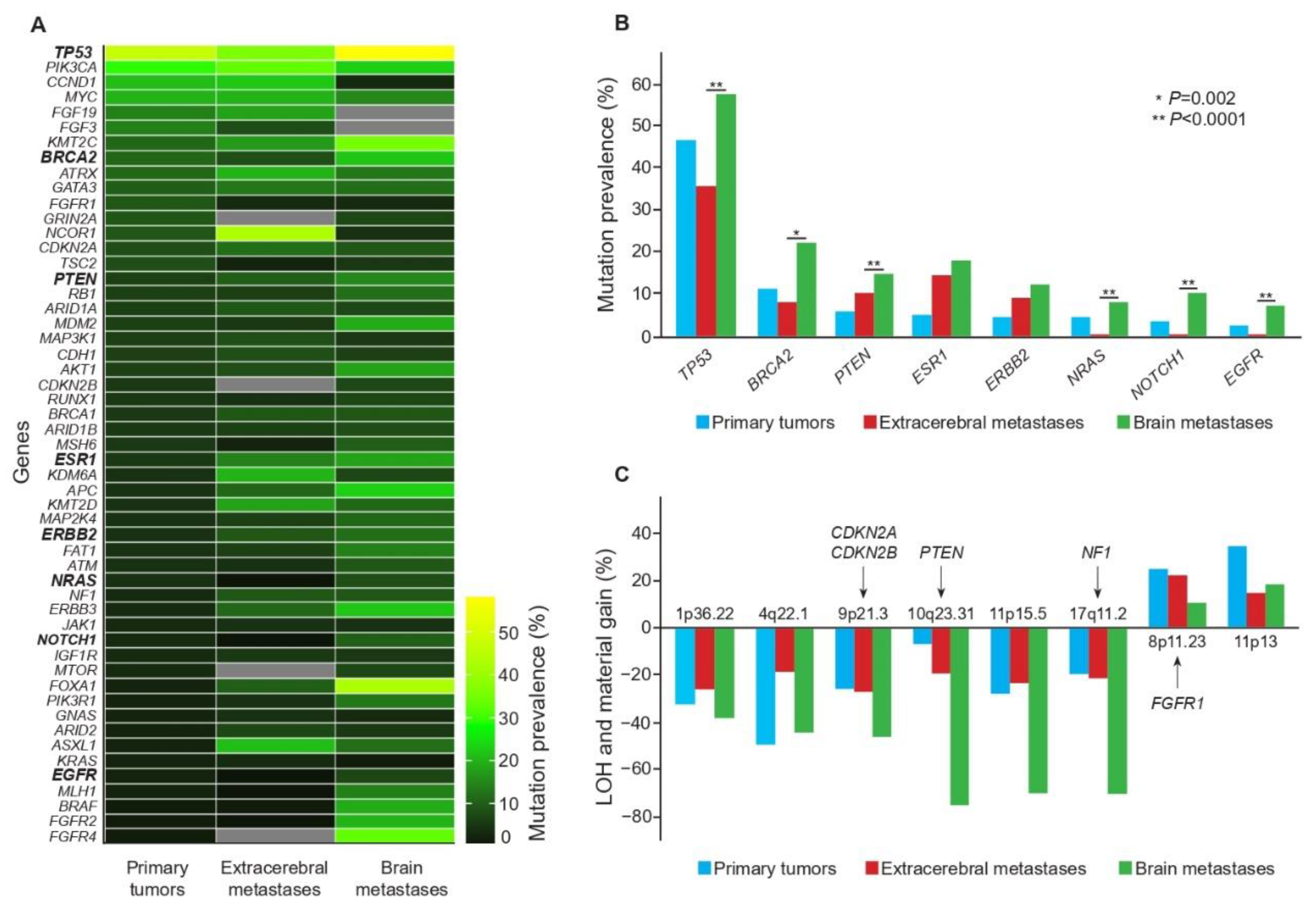 Genomics of Breast Cancer Brain Metastases: A Meta-Analysis and ...