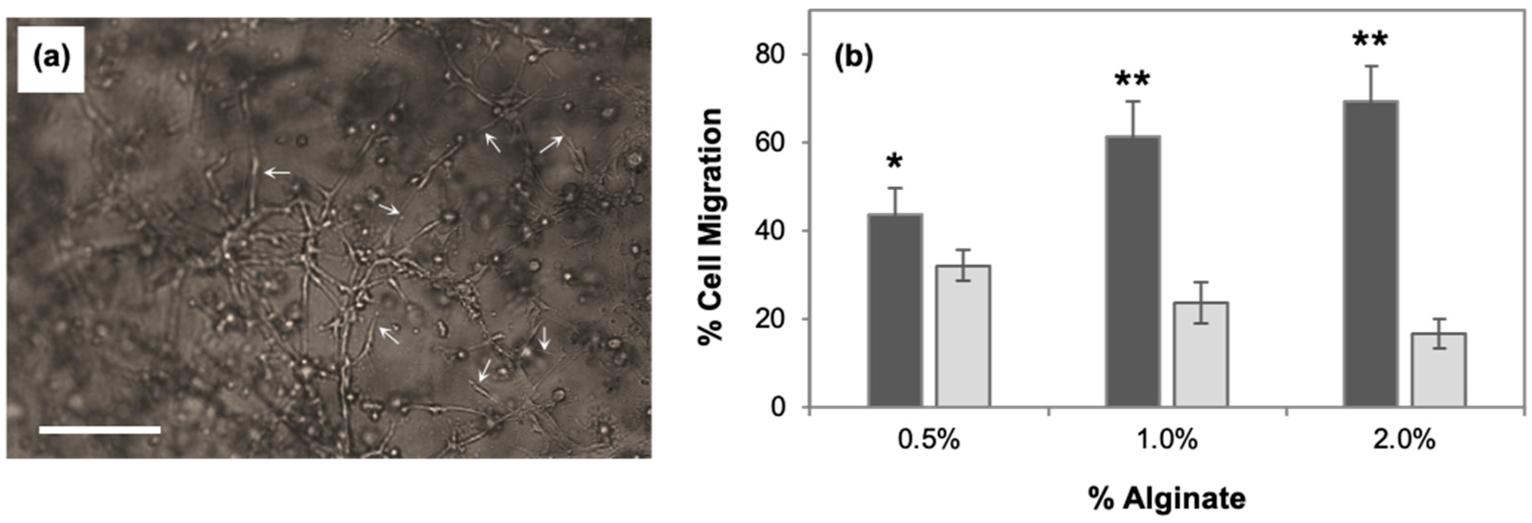 Cancers 15 01729 g001 Cancers 15 01729 g001
