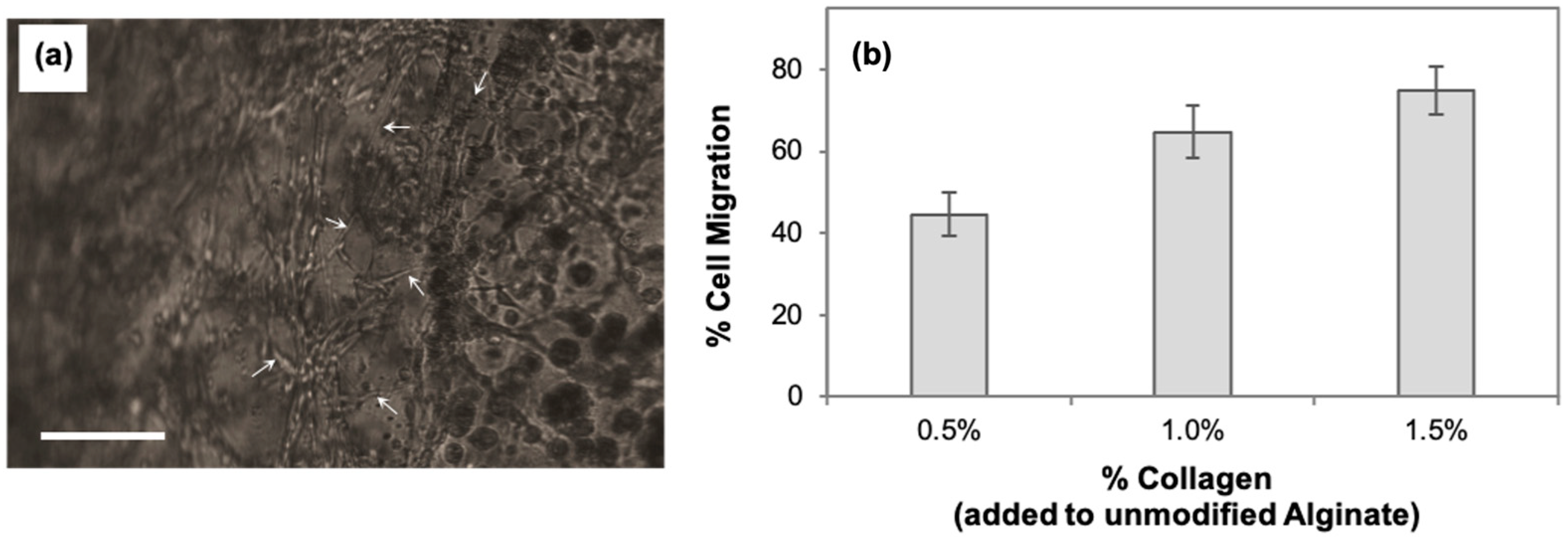 Cancers 15 01729 g003 Cancers 15 01729 g003