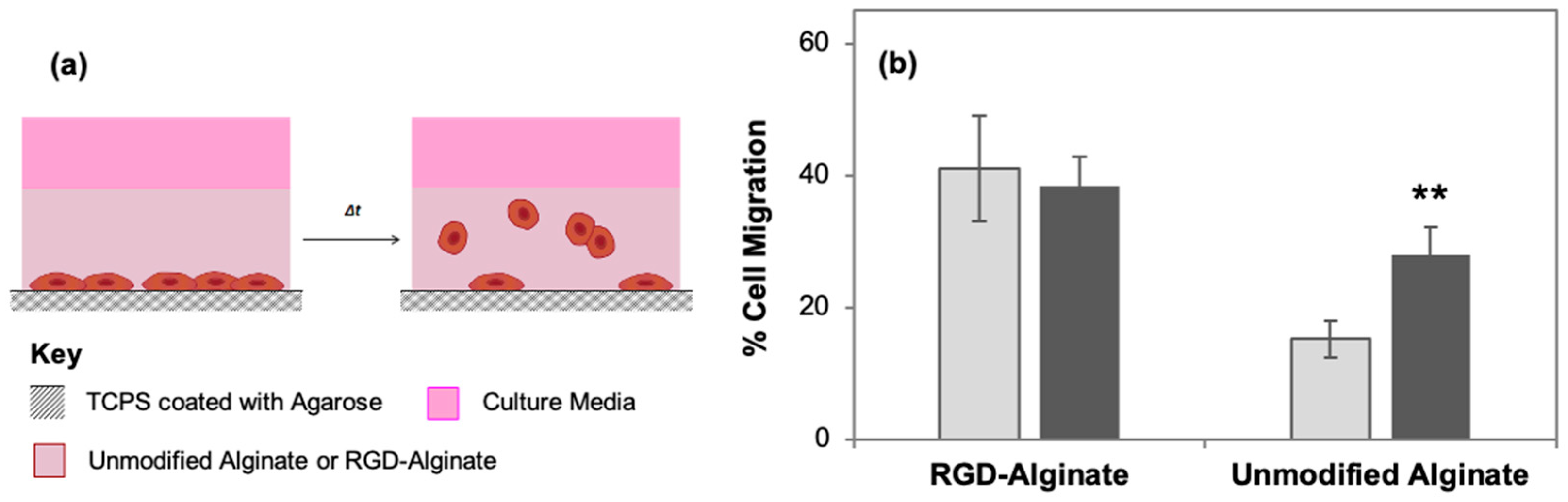 Cancers 15 01729 g004 Cancers 15 01729 g004