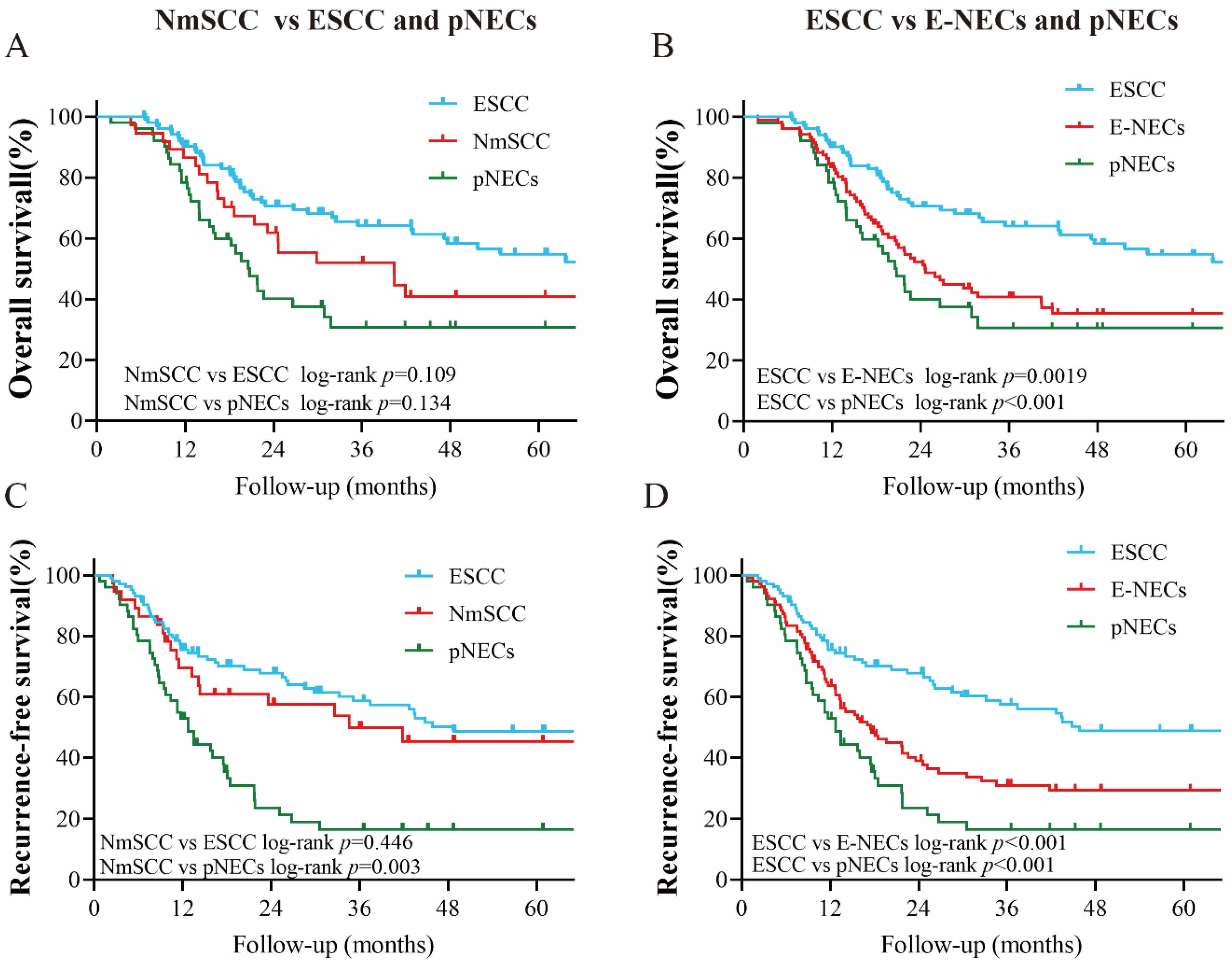 Cancers 15 01732 g005 Cancers 15 01732 g005