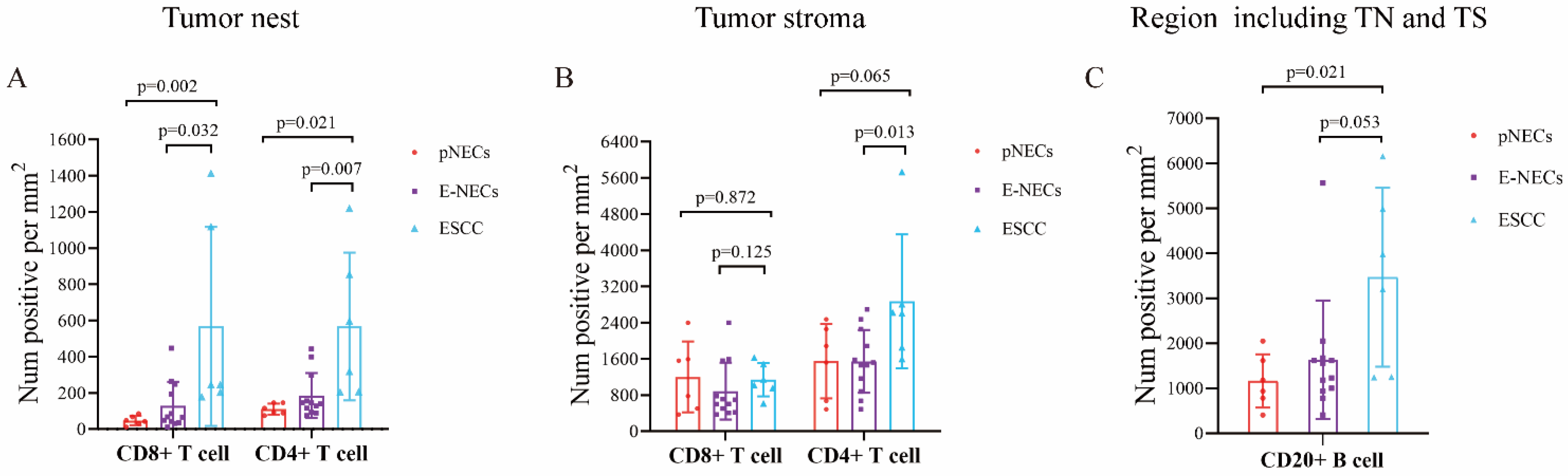 Cancers 15 01732 g007 Cancers 15 01732 g007