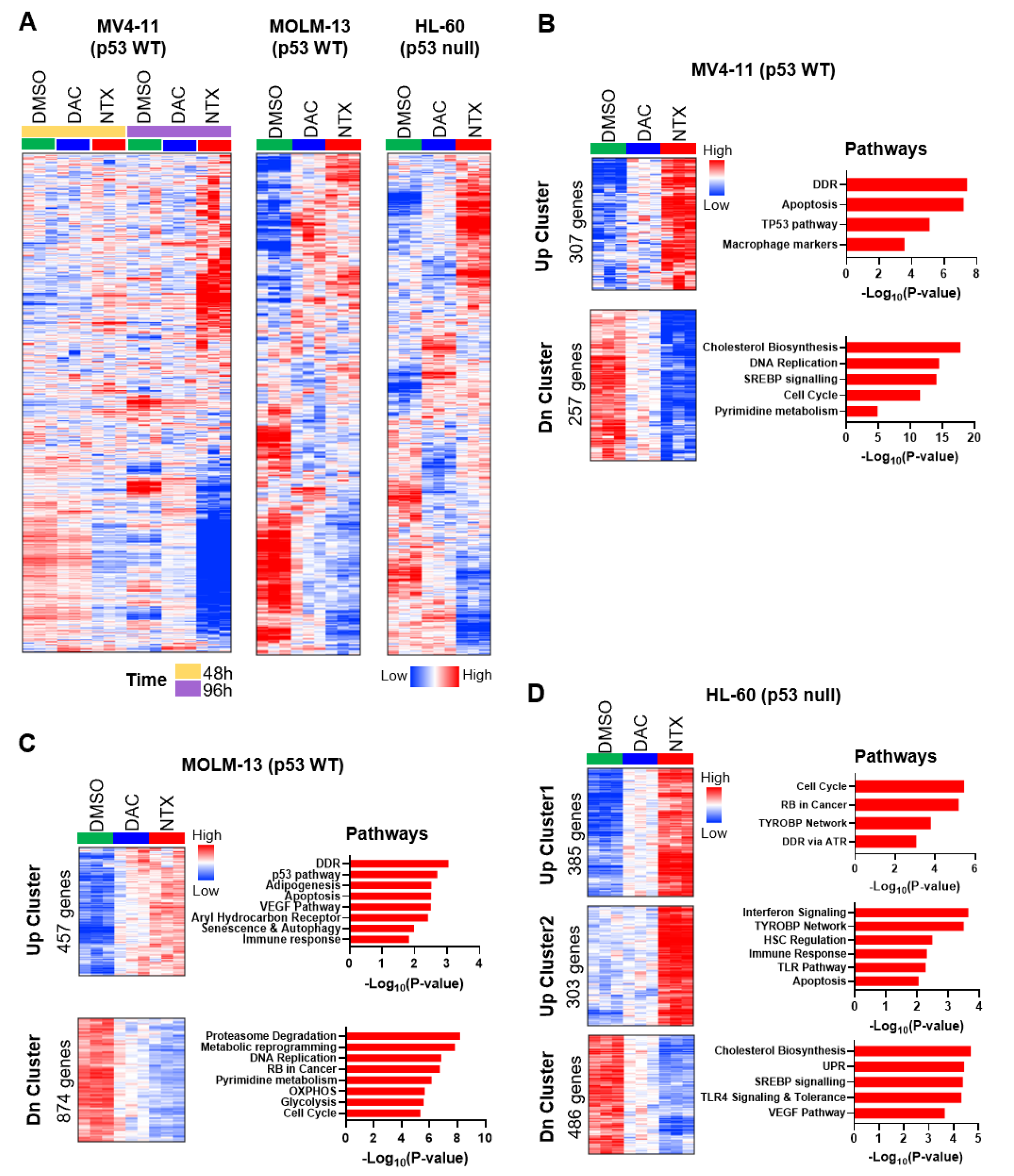 Cancers 15 01737 g004